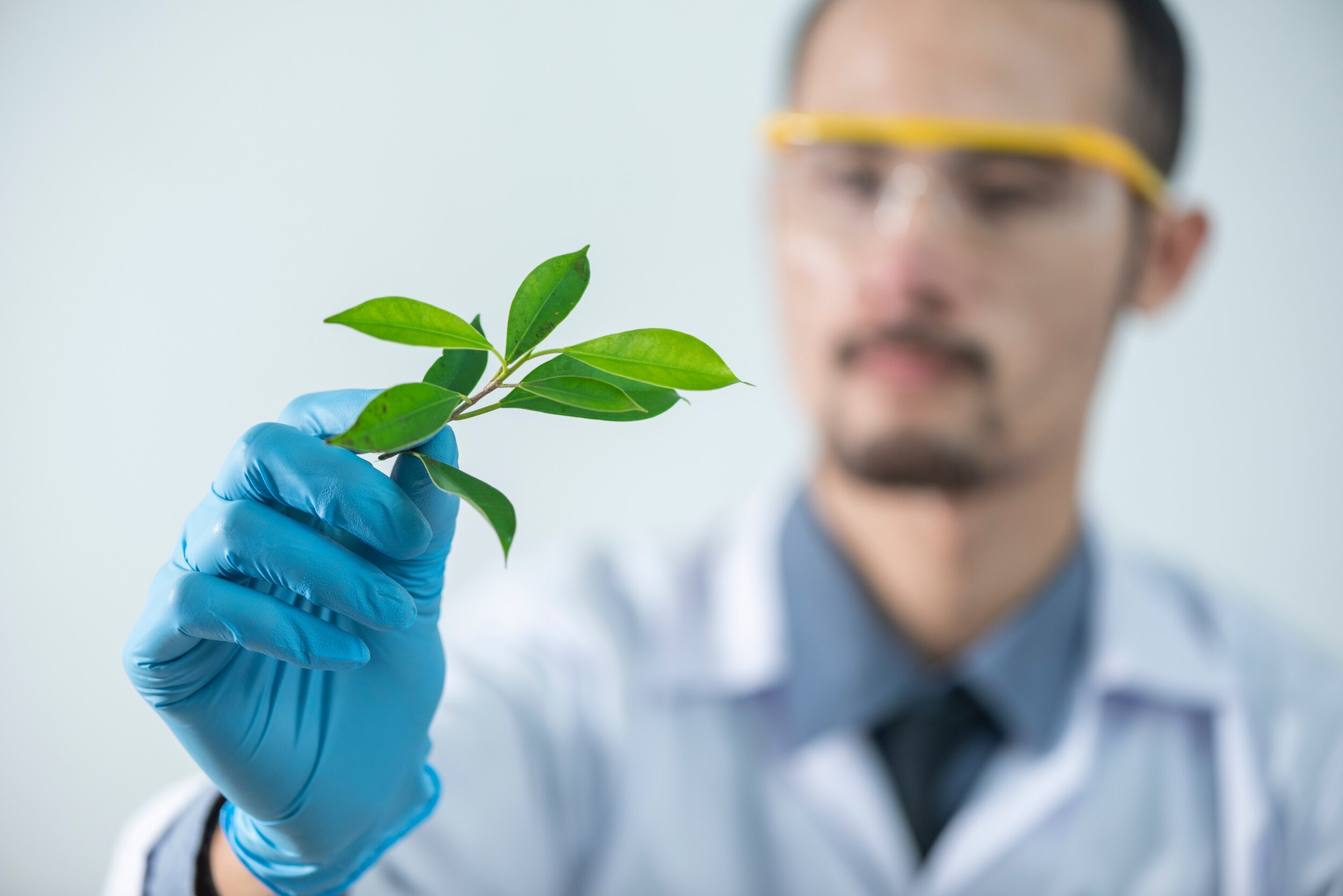 person-holding-green-leafed-plant-2280551.jpg