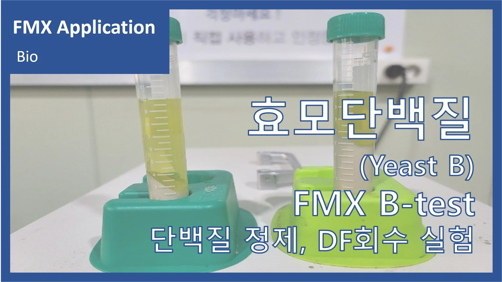 효모 단백질(Yeast B)