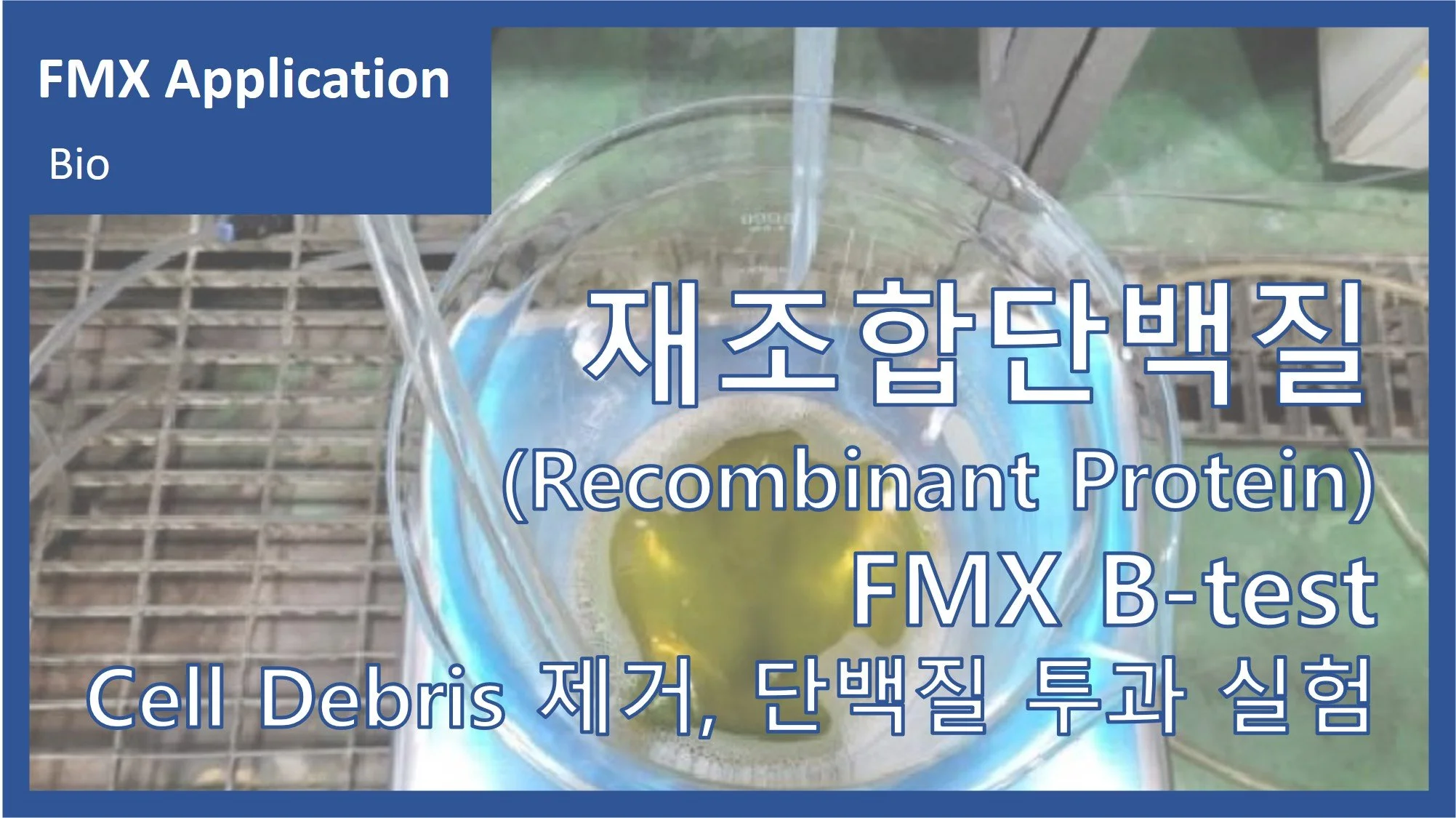 재조합 단백질(Recombinant Protein)