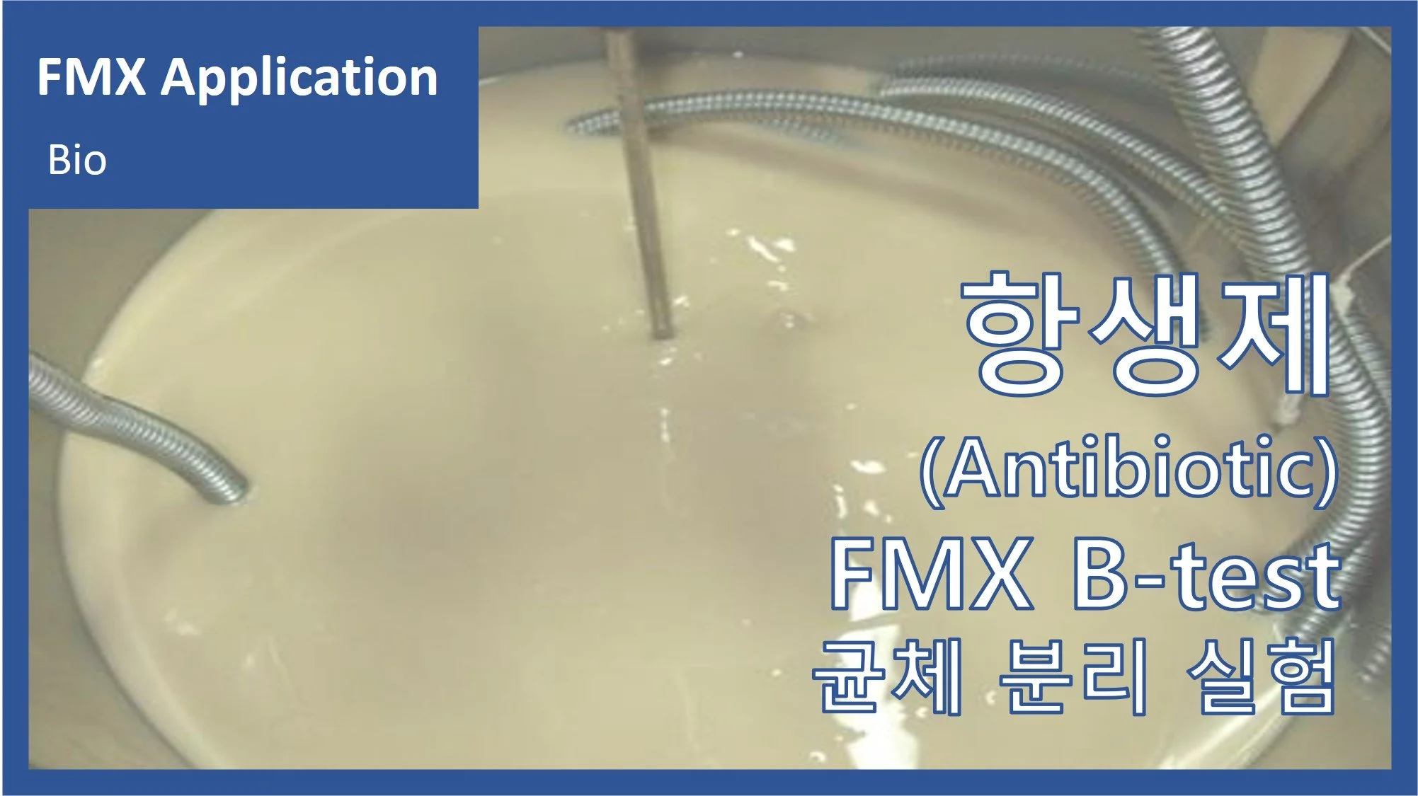 항생제(Anti Biotic)