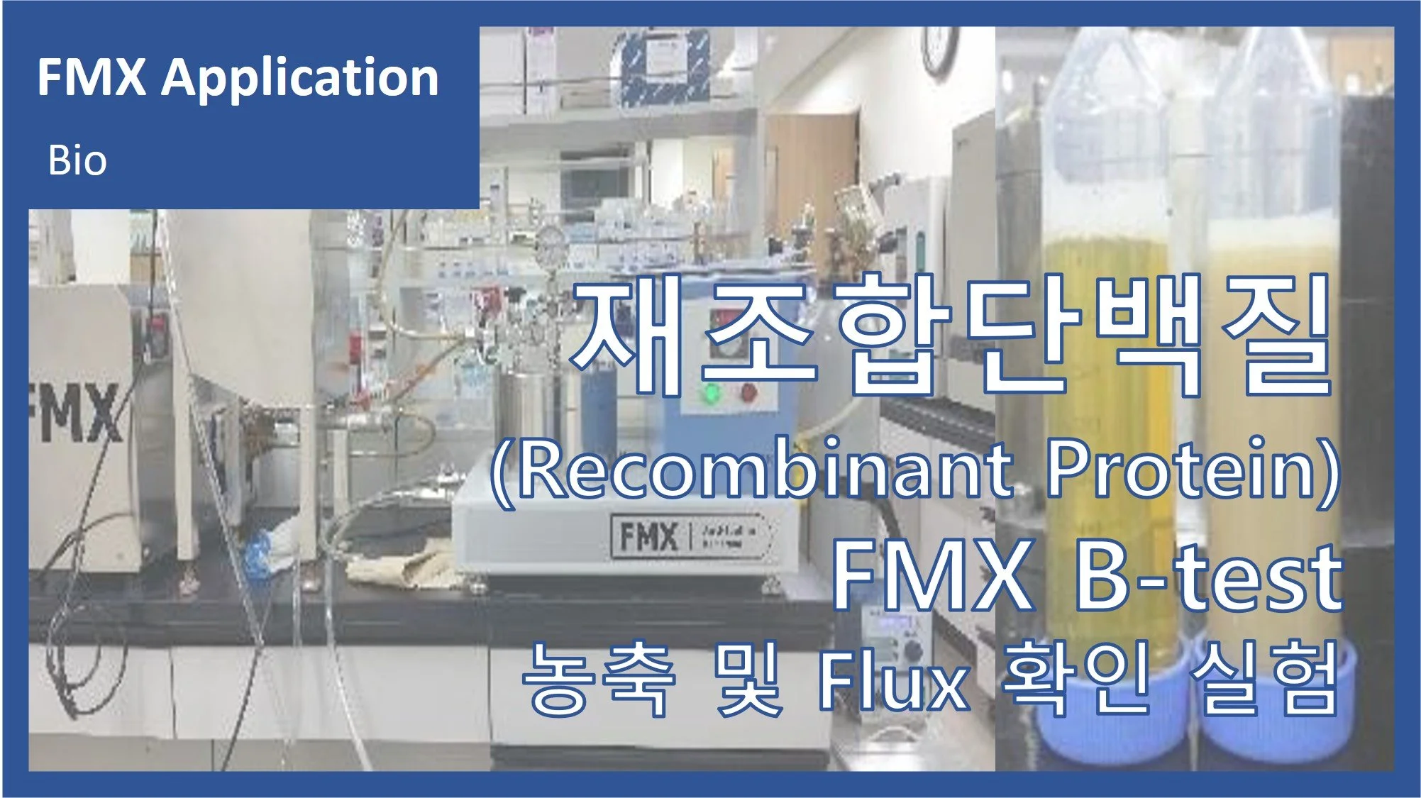 재조합단백질(Recombinant Protein)