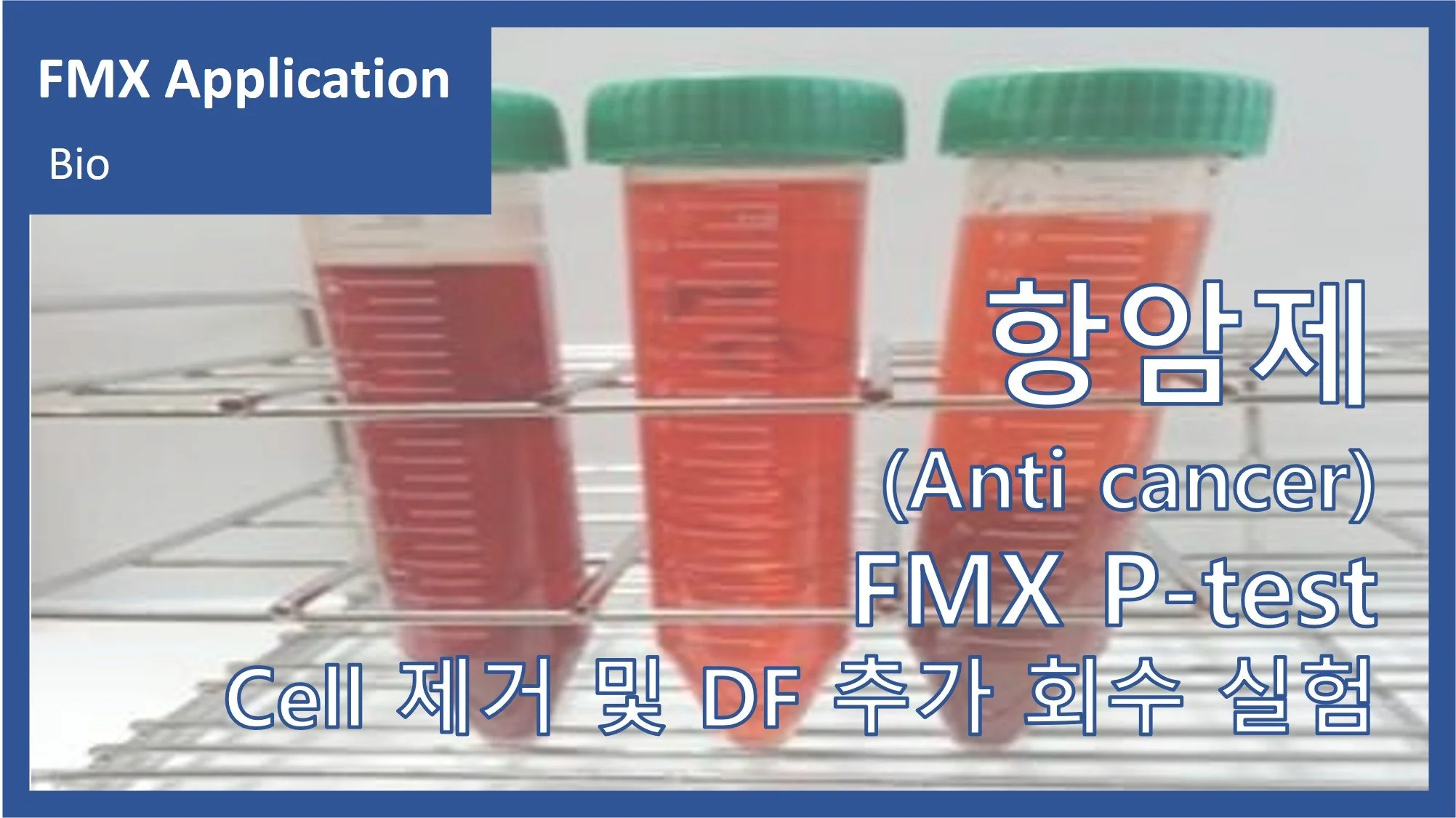 항암제(Anti Cancer)