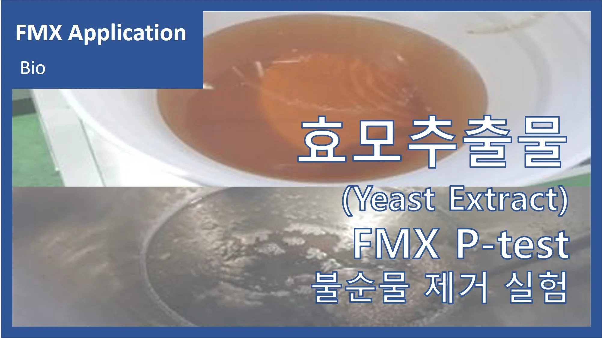 효모 추출물(Yeast extract)