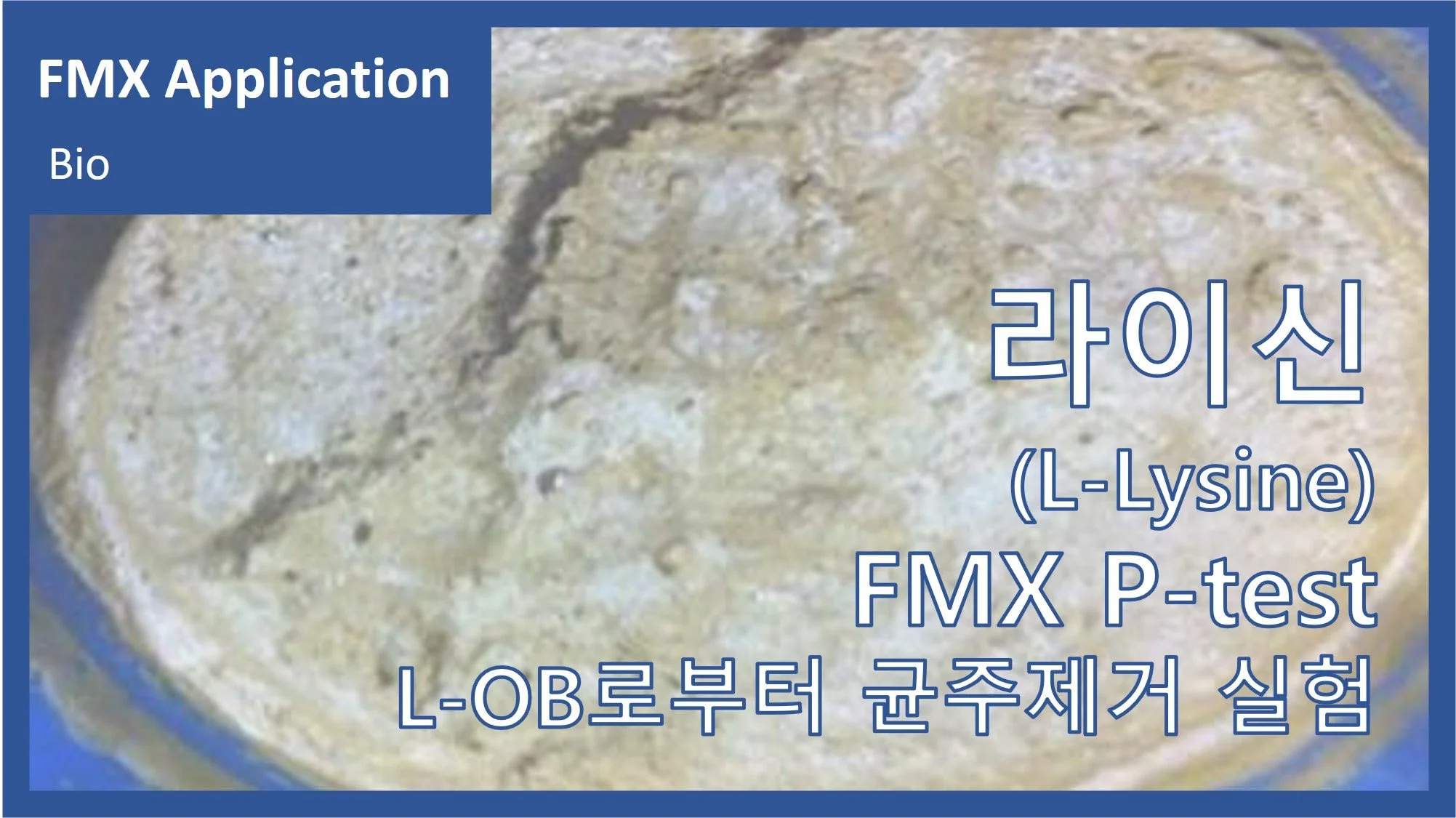 아미노산(L-Lysine)