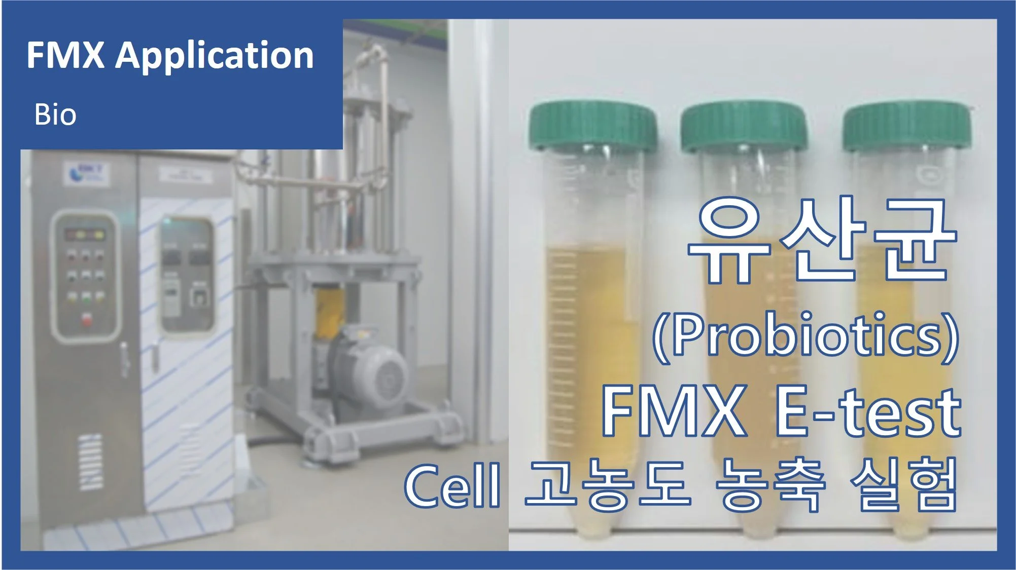 유산균(Probiotics)