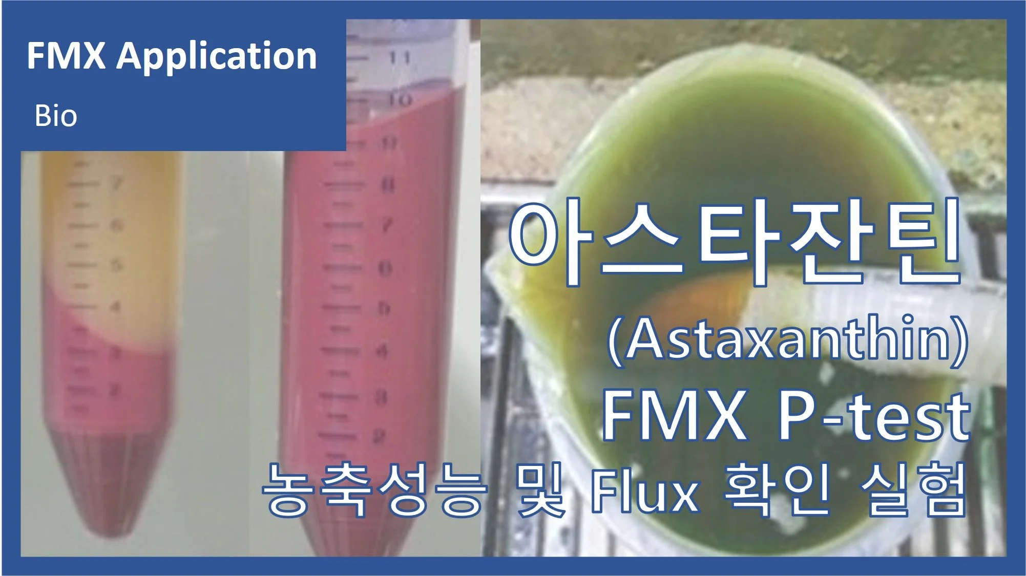 아스타잔틴(Astaxanthin)