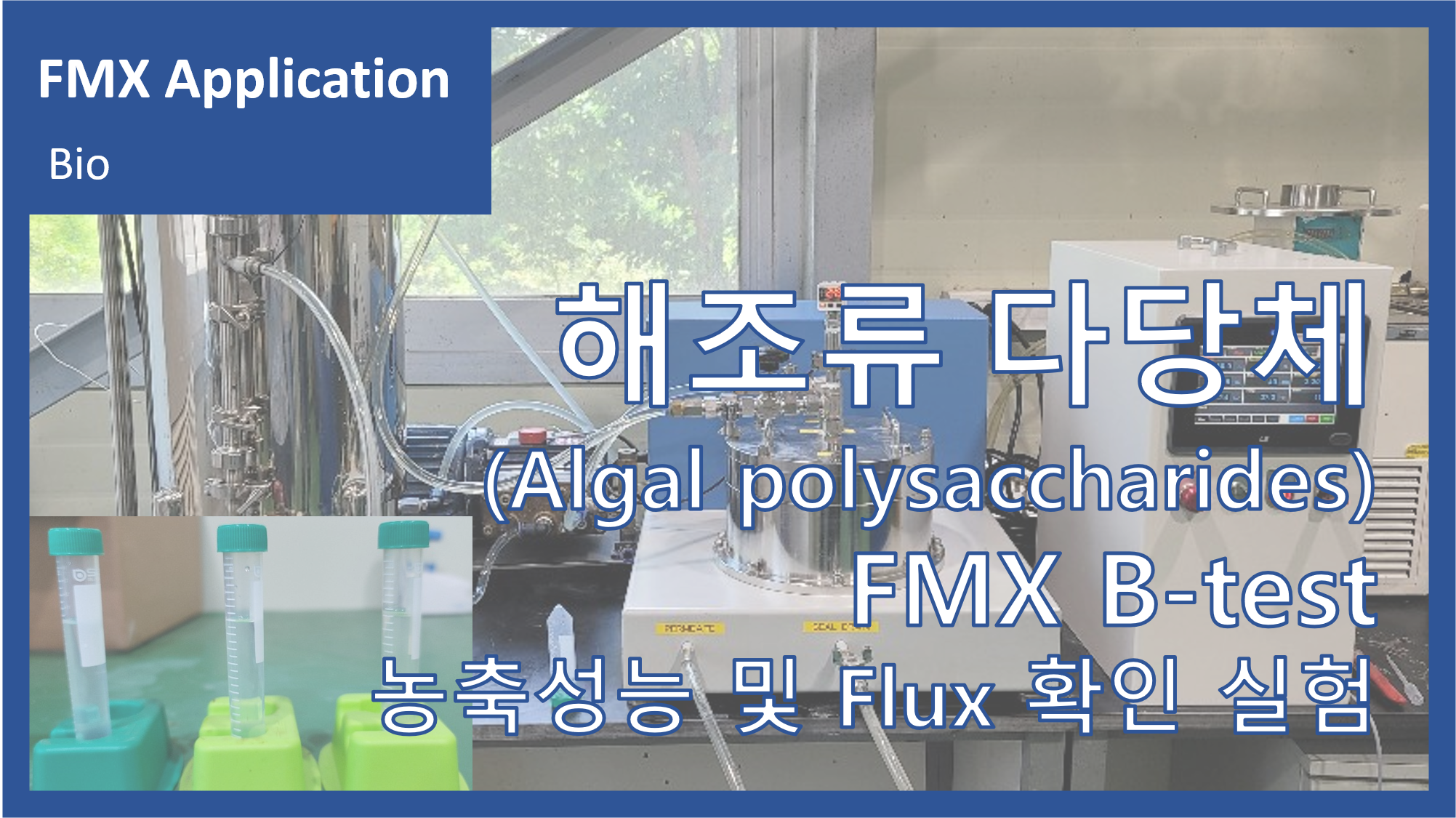 해조류 다당체(Algal polysaccharides)