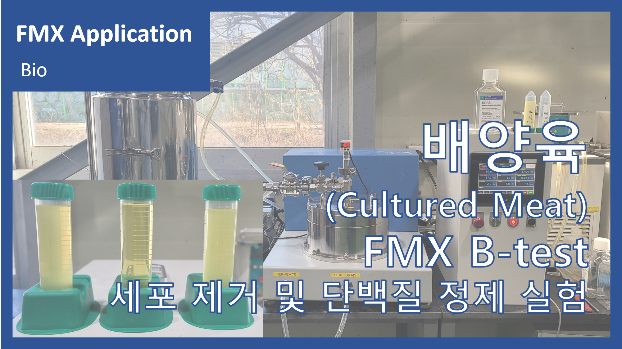 배양육(Cultured meat)