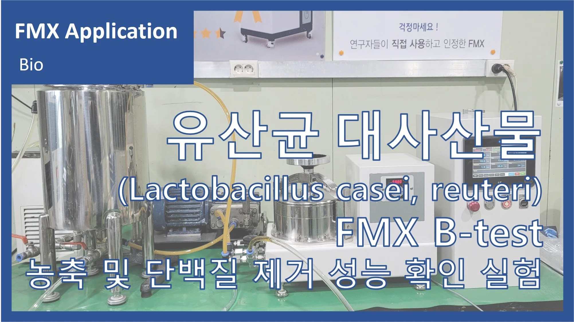 유산균 대사산물(Lactobacillus casei, reuteri)