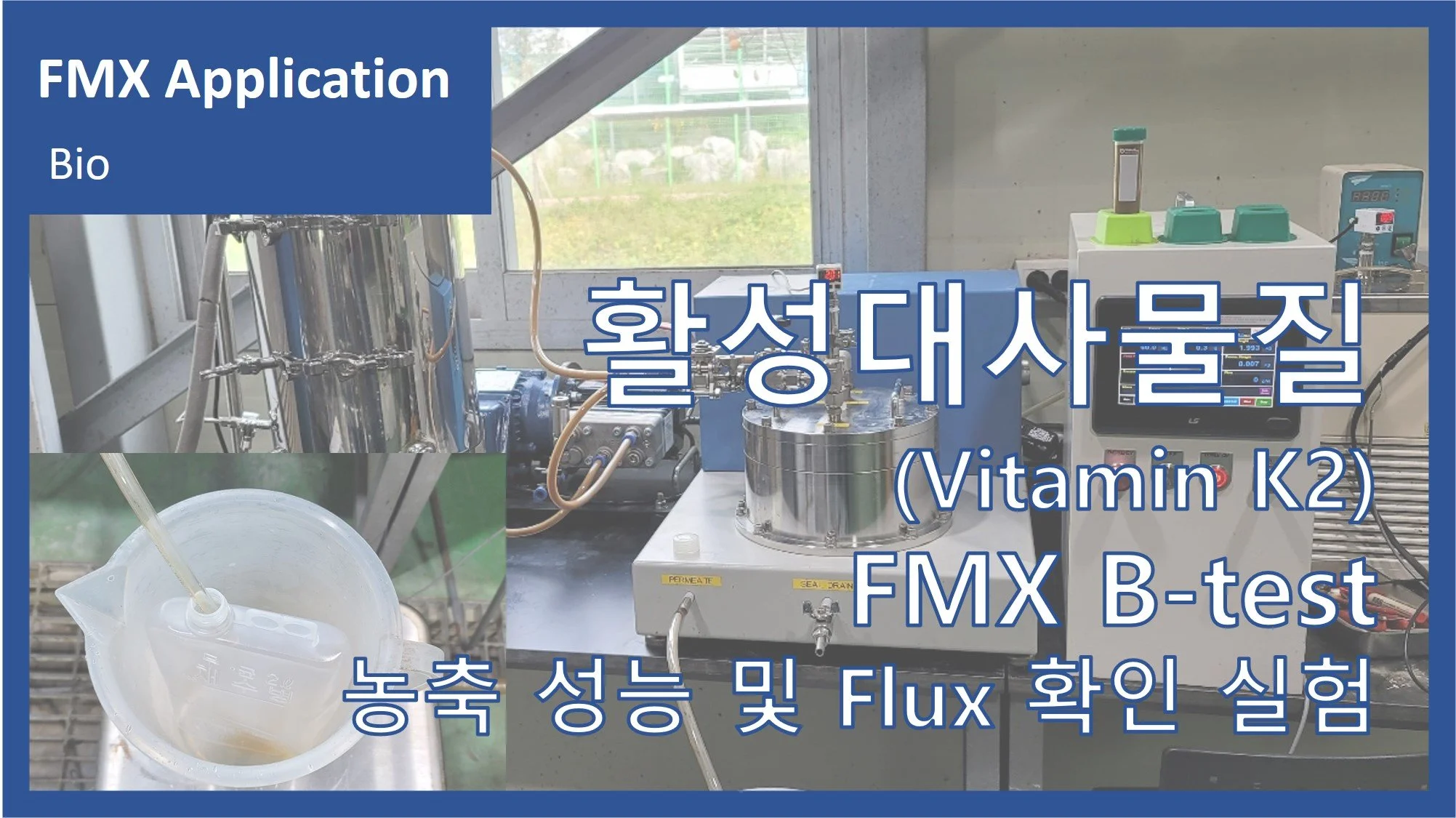 활성대사물질(Vitamin K2)
