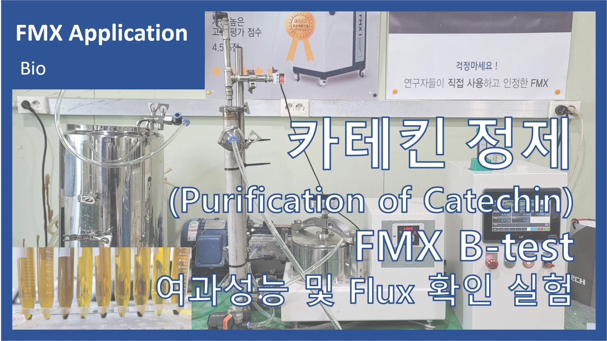 카테킨 정제(Catechin)