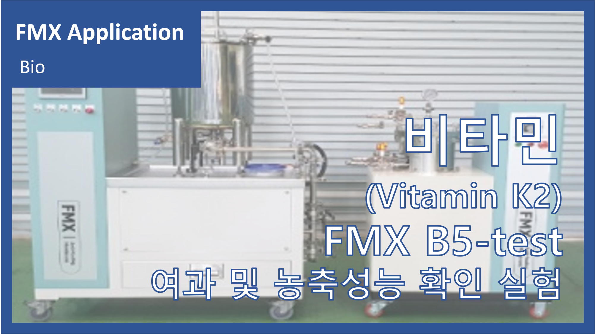 비타민-K(Vitamin K)