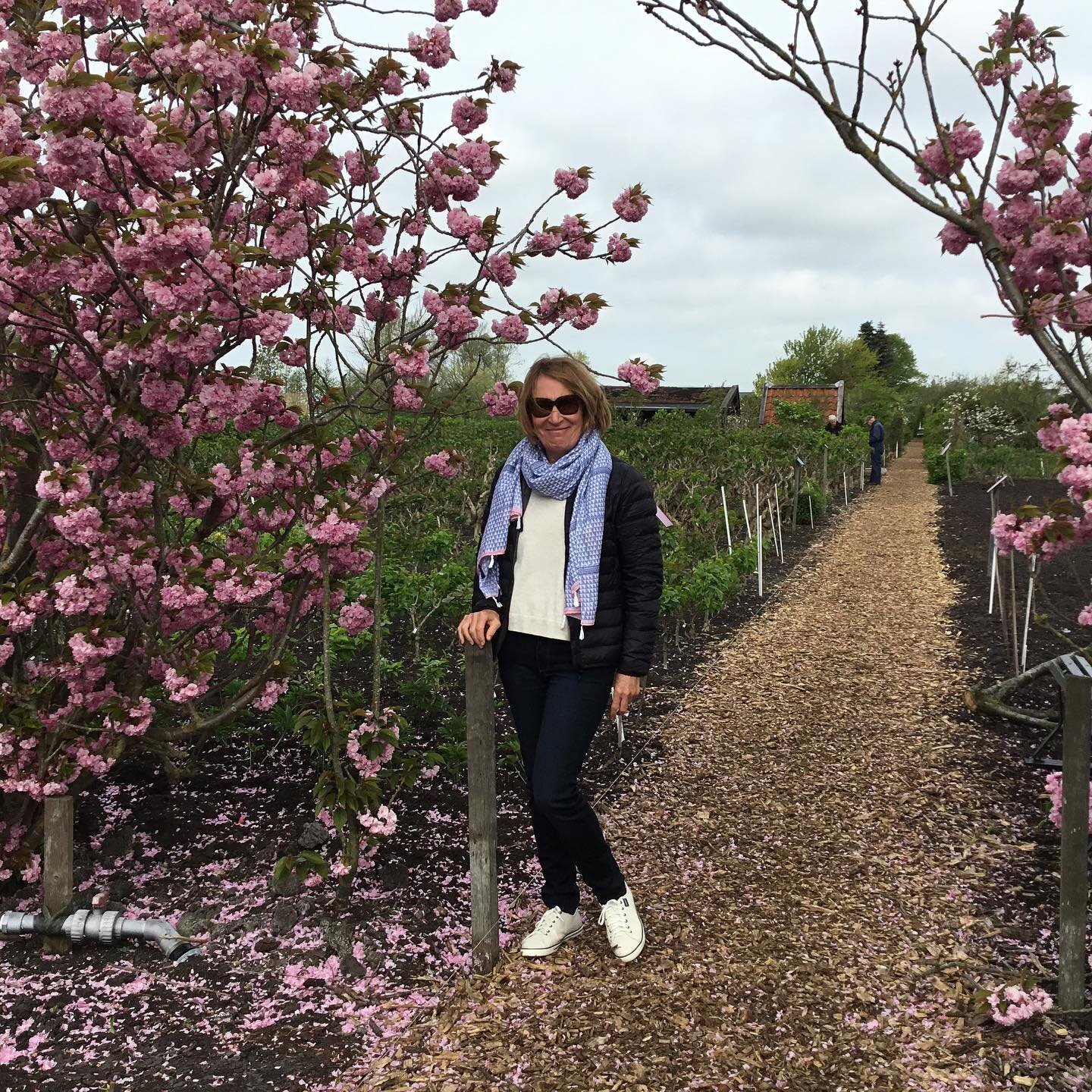 Back when we could ....
Study abroad with @flowerschoolny in Amsterdam - the most spectacular spring flowers to work with.