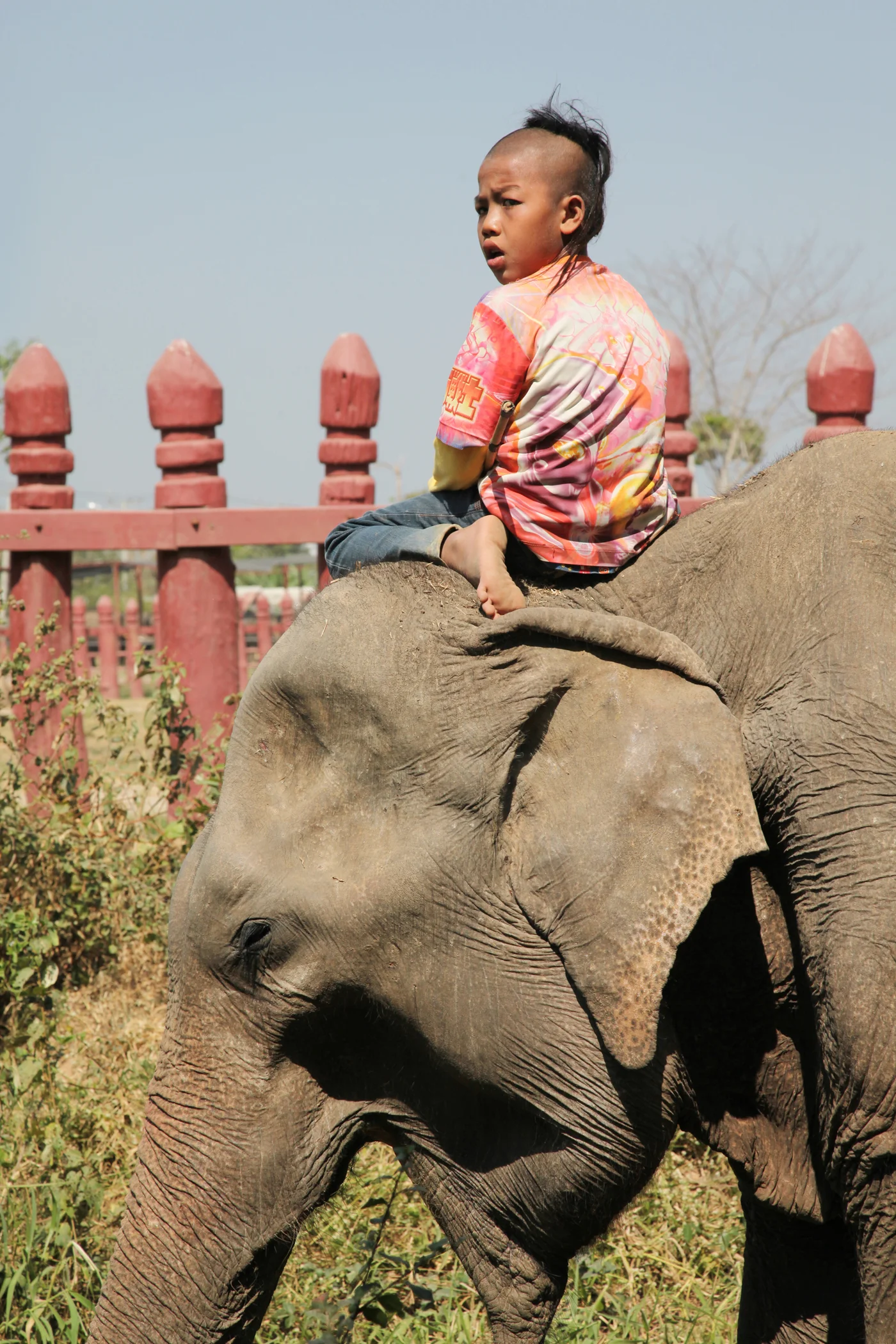 Goh_Thailand_300DPI.jpg