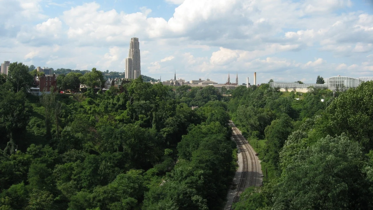 View_from_Charles_Anderson_Bridge_Pittsburgh.jpg