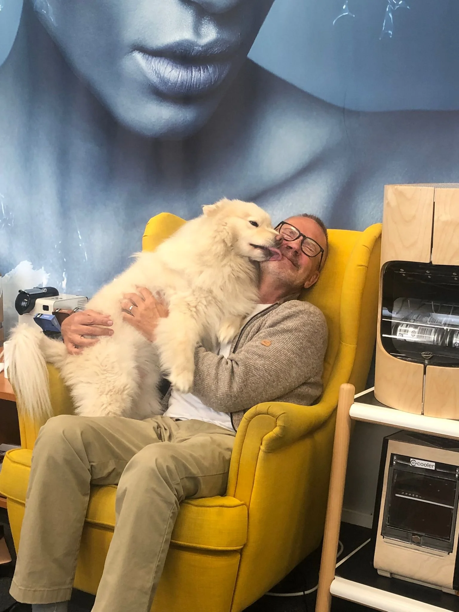 THE FUTURE OF ELECTRIC COOLING: ENHANCING EFFIENCY AND LOWER ENERGY CONSUMPTION