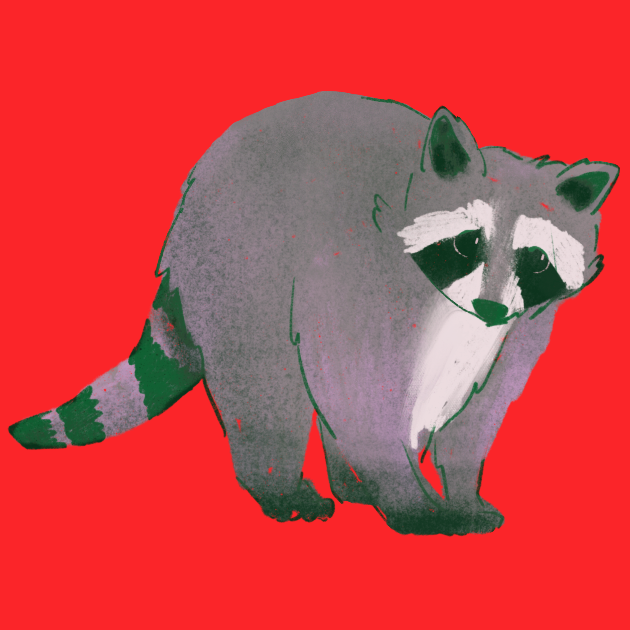 Raccoon-7x7.png