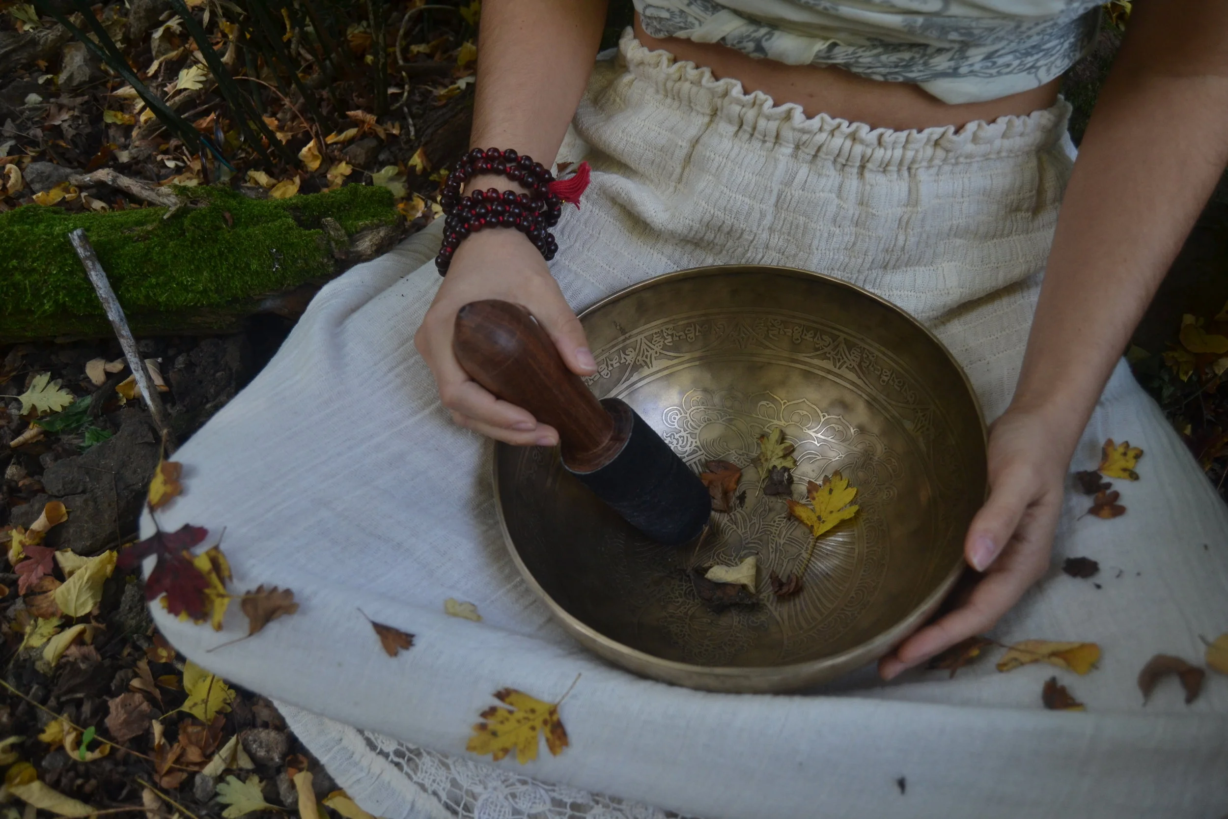 Serata di Meditazione - Gennaio