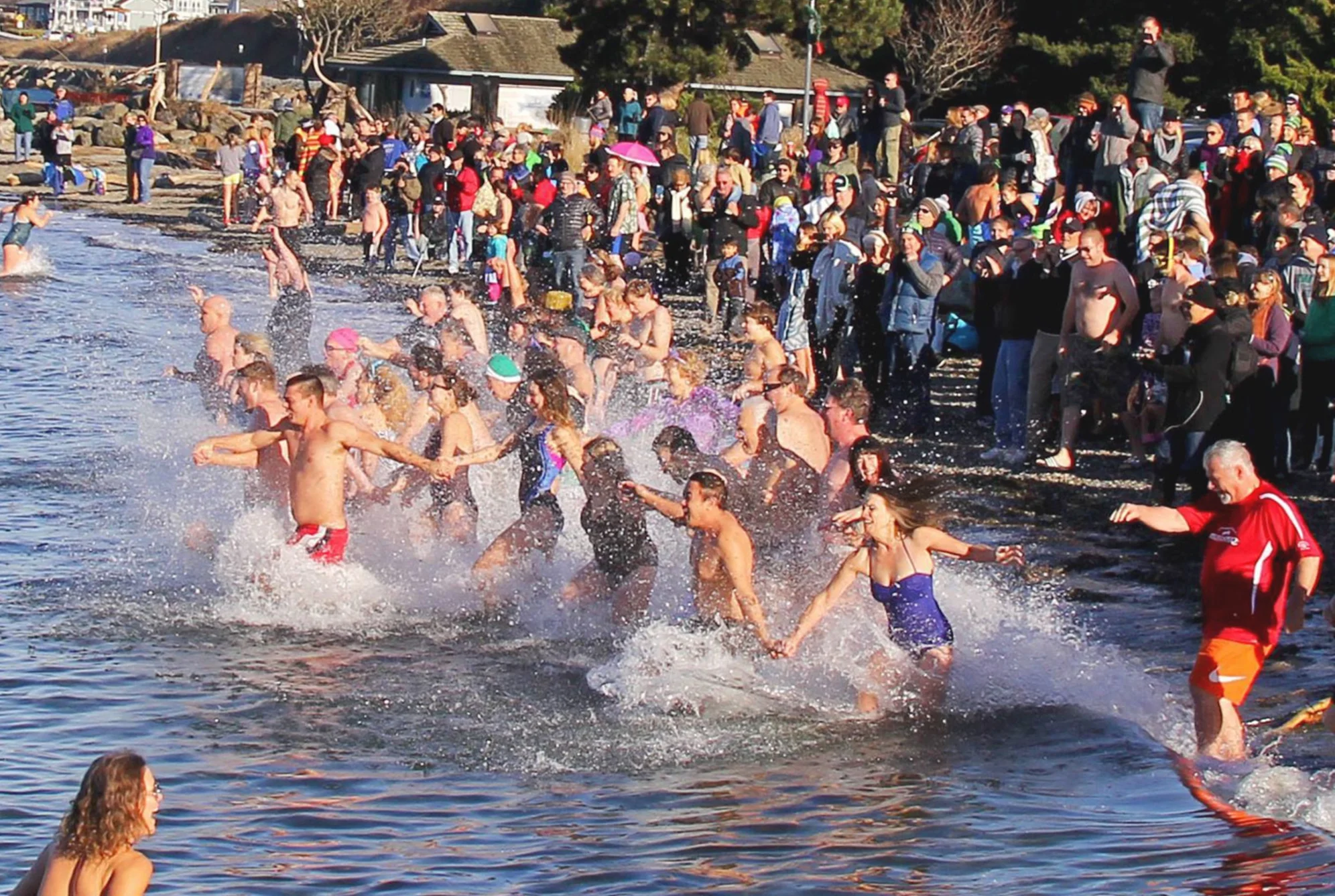 Polar Bear Plunge
