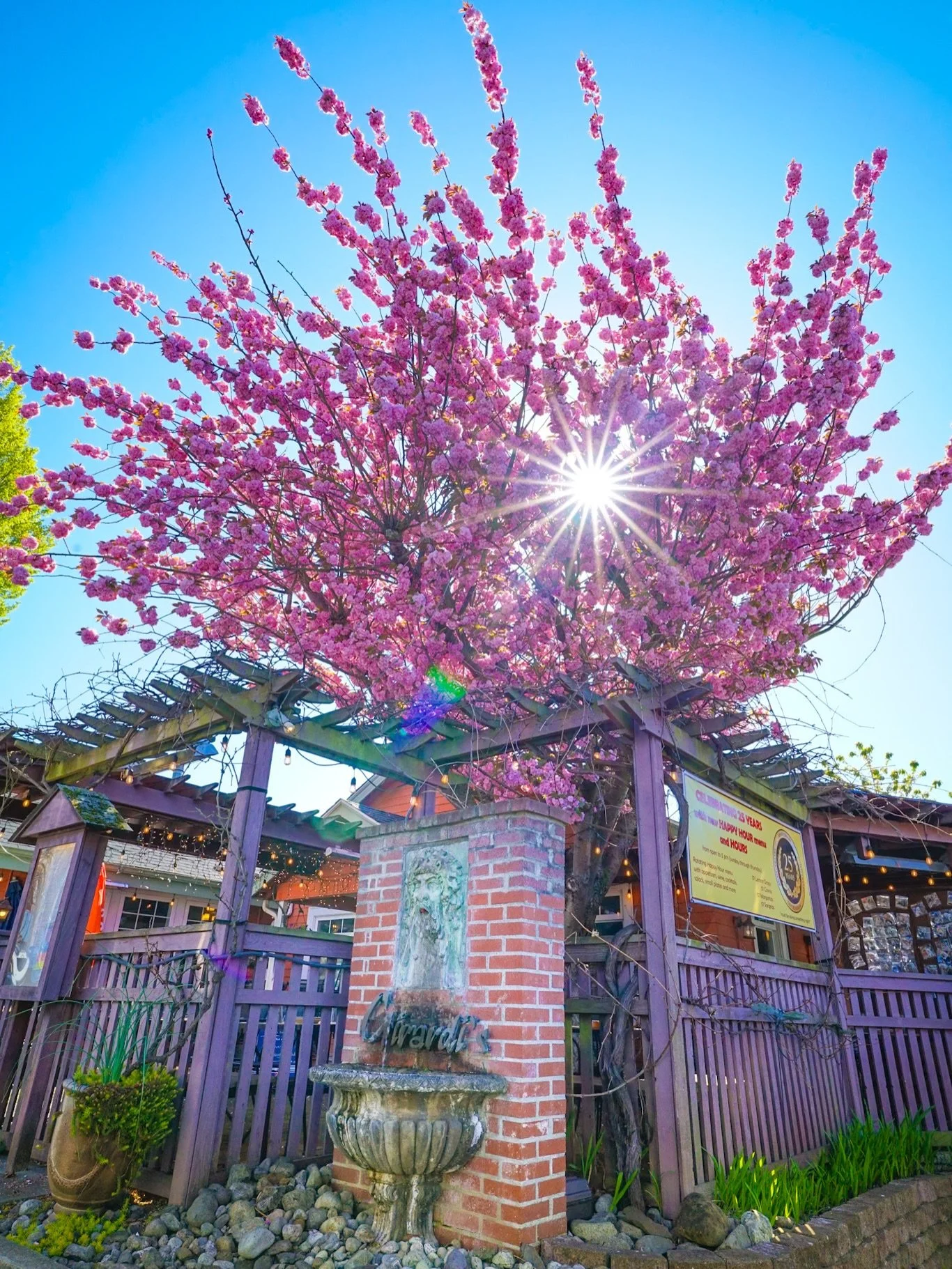 A trip to Downtown Edmonds is a must on a sunny spring Saturday! Begin your visit on the south end of town:

🍝 Start with some delicious Italian food @girardis_osteria, 505 5th Ave S

💿 Pop by @musicology_co_ to celebrate Record Store Day, 420 5th 