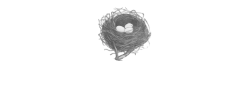 edmondsholidays-curiousnest-wh.png