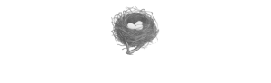 The Curious Nest