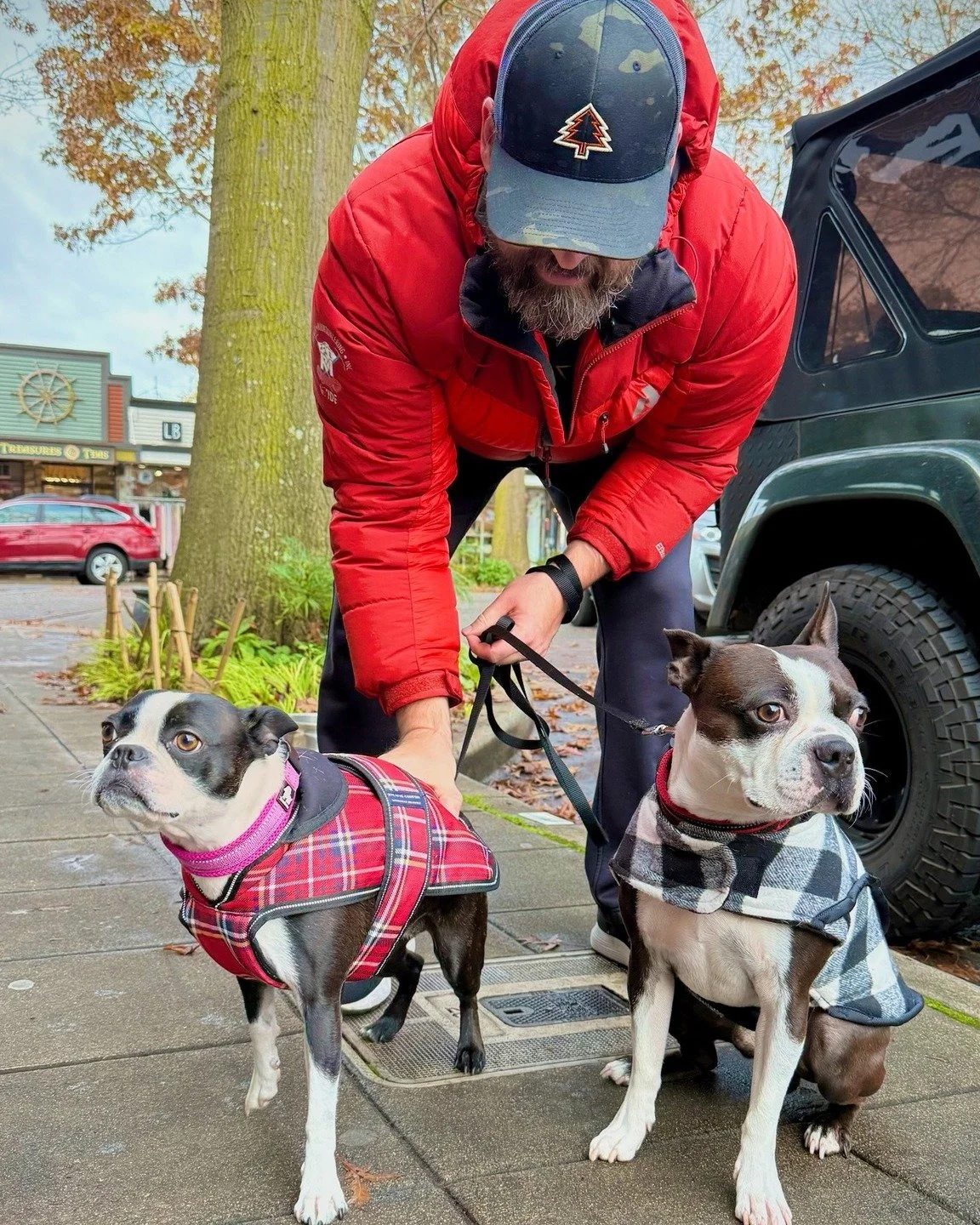 🐾These two pups are stylin' and ready for cozy fall days in Downtown Edmonds!
#edmondsdowntown #dogsofinstagram