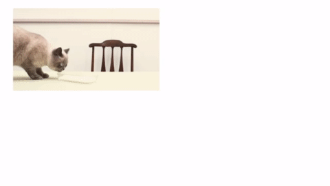 Pearly_Queen-3.gif