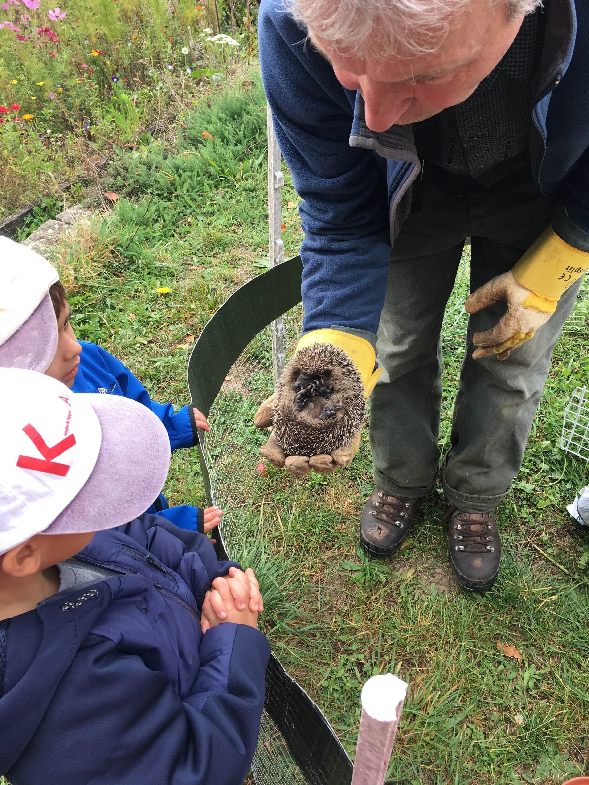 Ausflug in den Garten des Igelzentrums Zürich 
