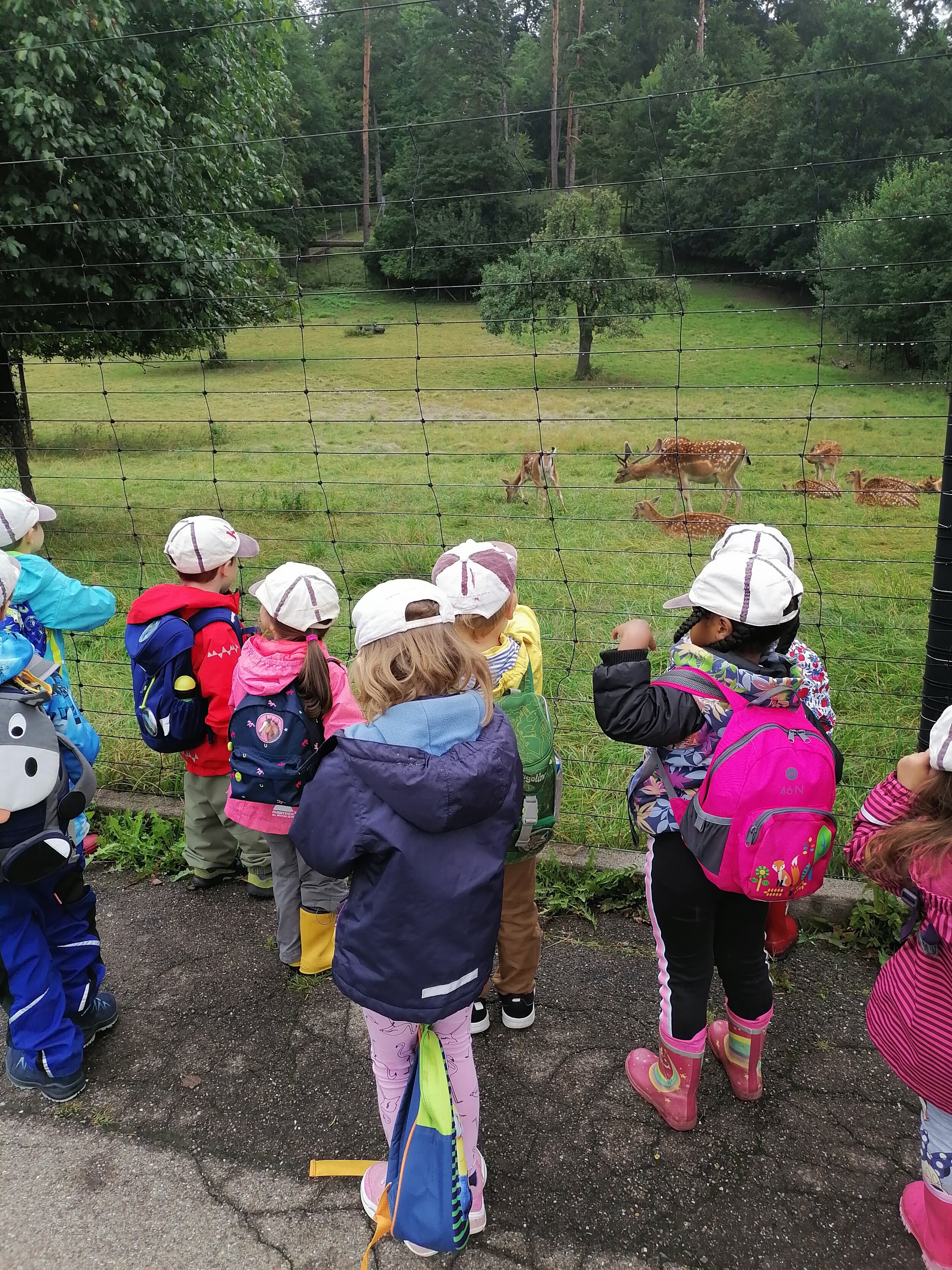 Ausflug Tierpark Langenberg