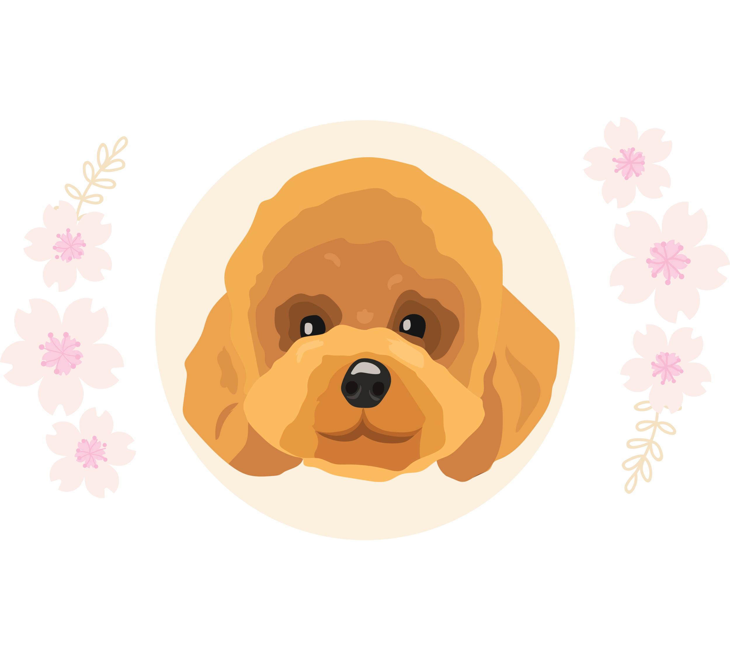 dog haven grooming salon