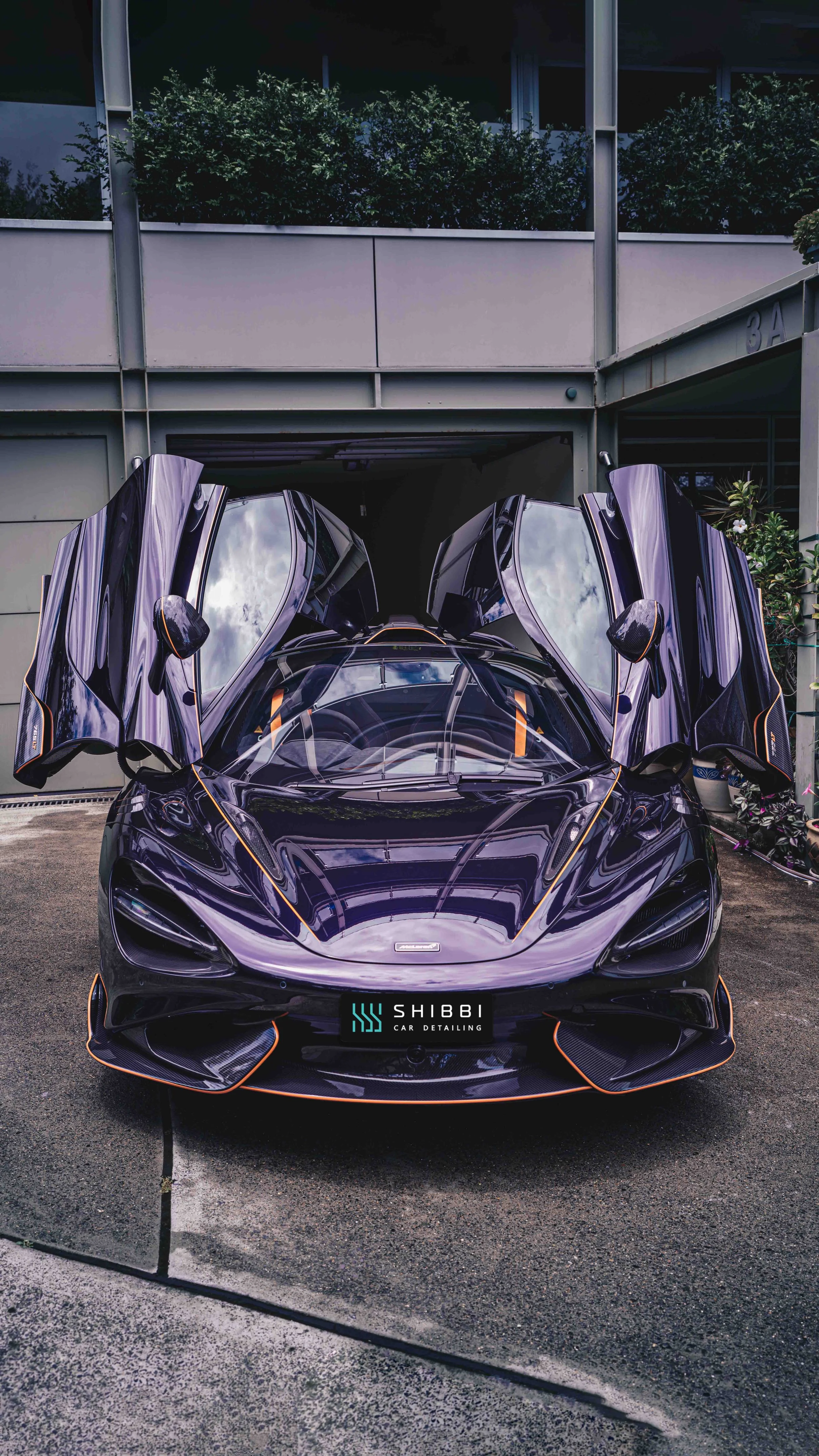 shibbi-car-detail2.jpg