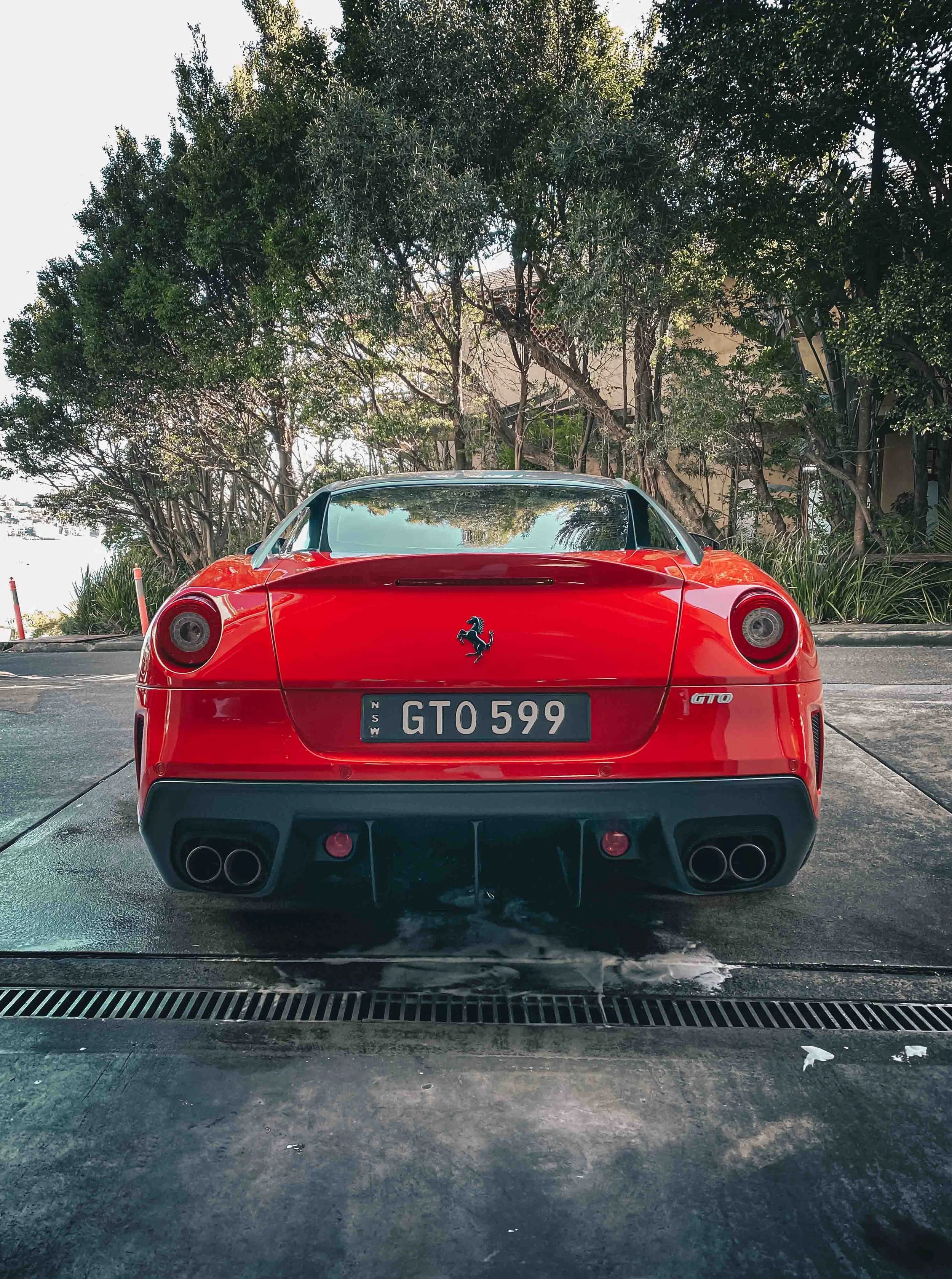 shibbi-car-detail2.jpg