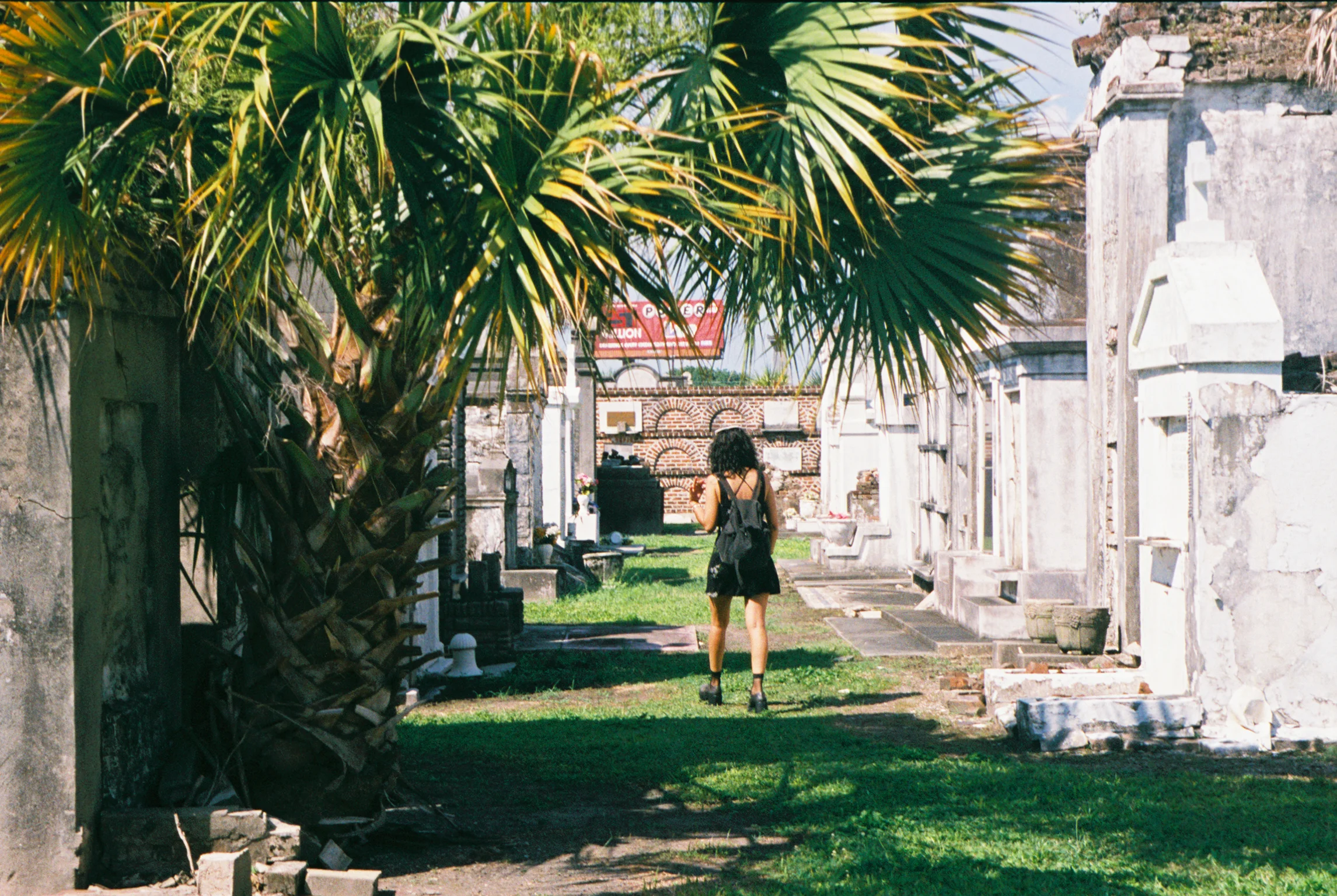 untitled (54 of 100).jpg