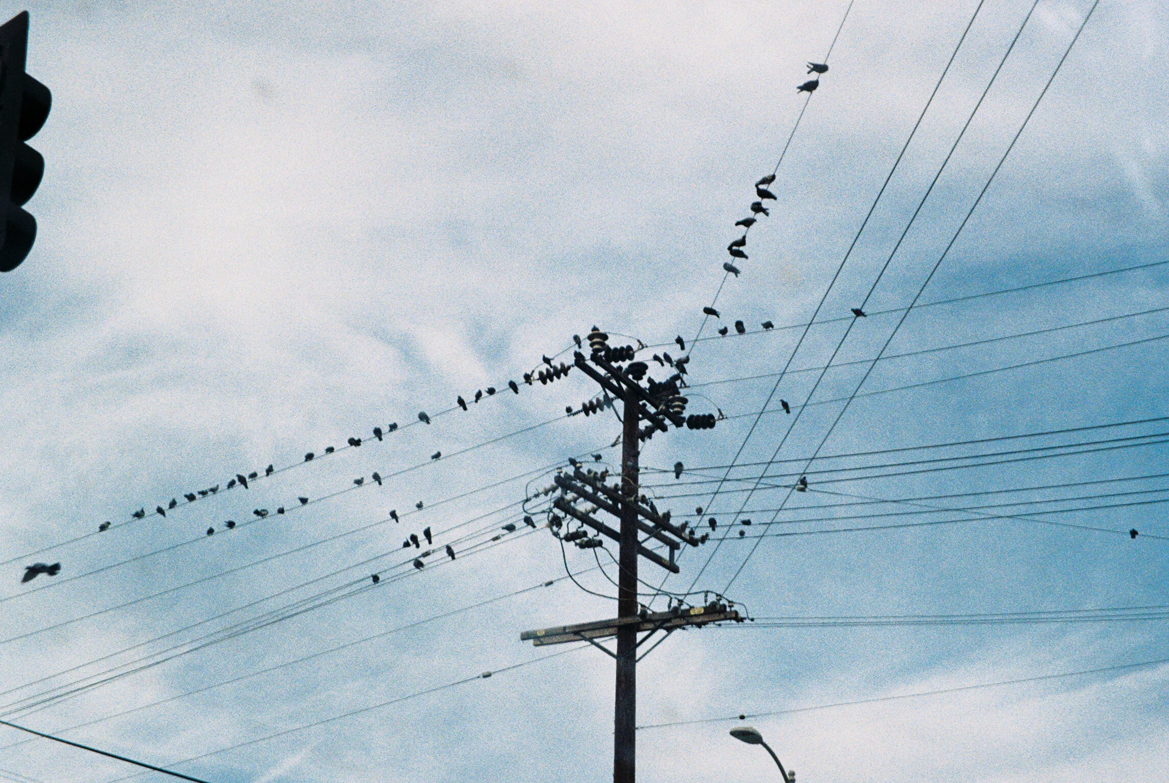 dec2019kodak (16 of 82).jpg