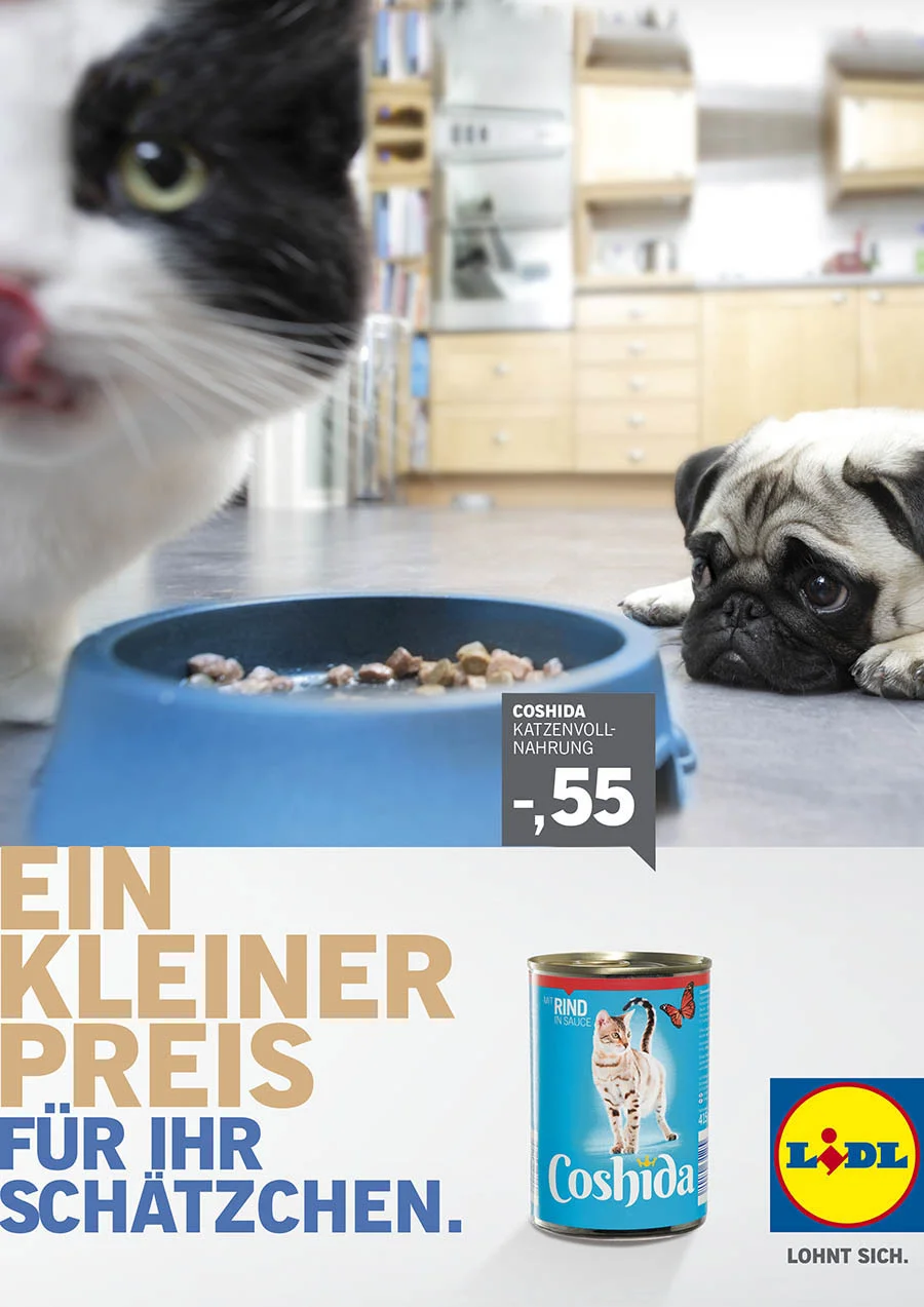 Lidl_CLP_katze_web.jpg