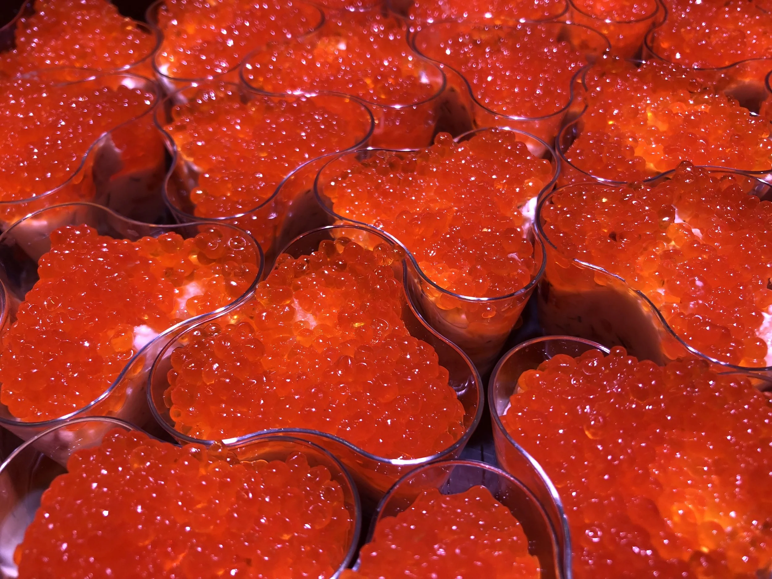 Joulukalat tiskiltämme koko jouluviikon