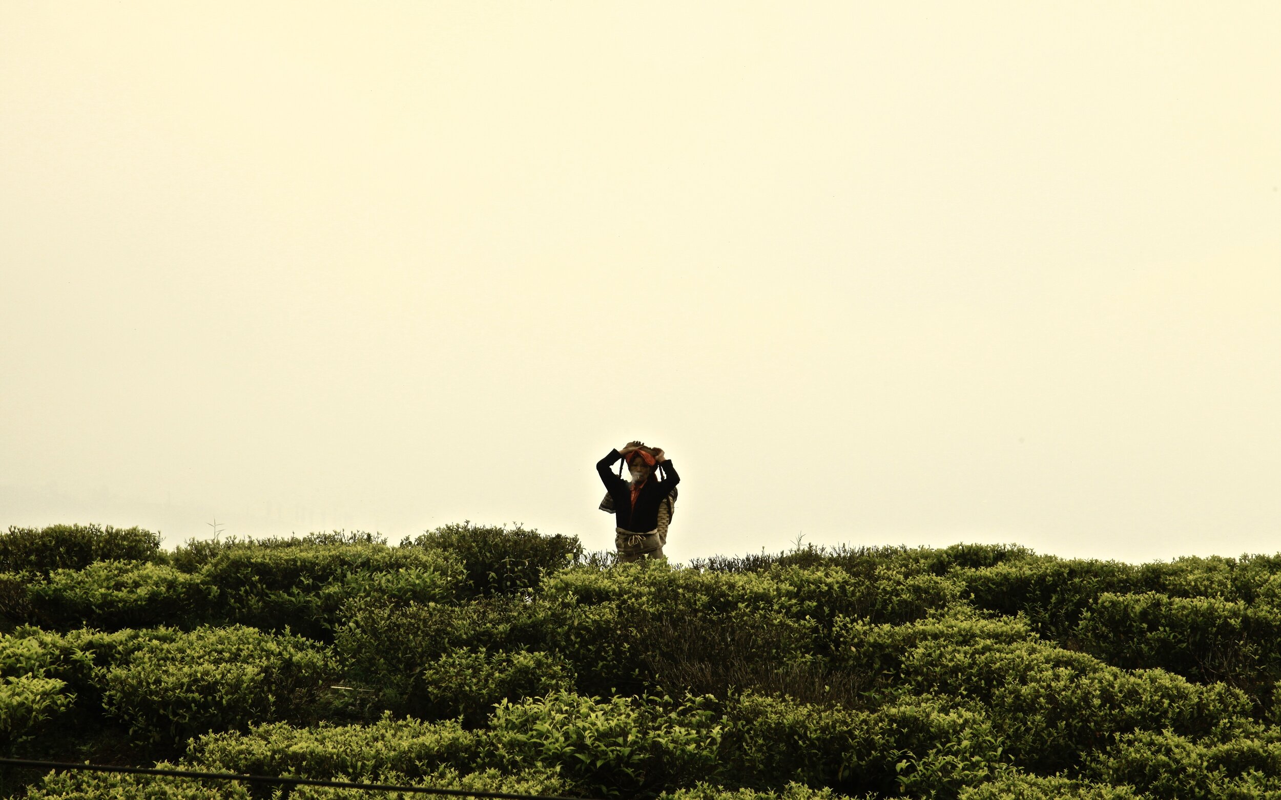 Darjeeling, India 