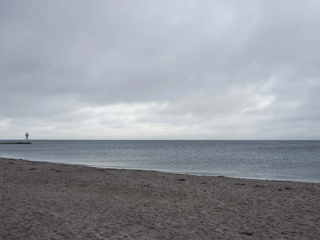 PC231523.jpg
