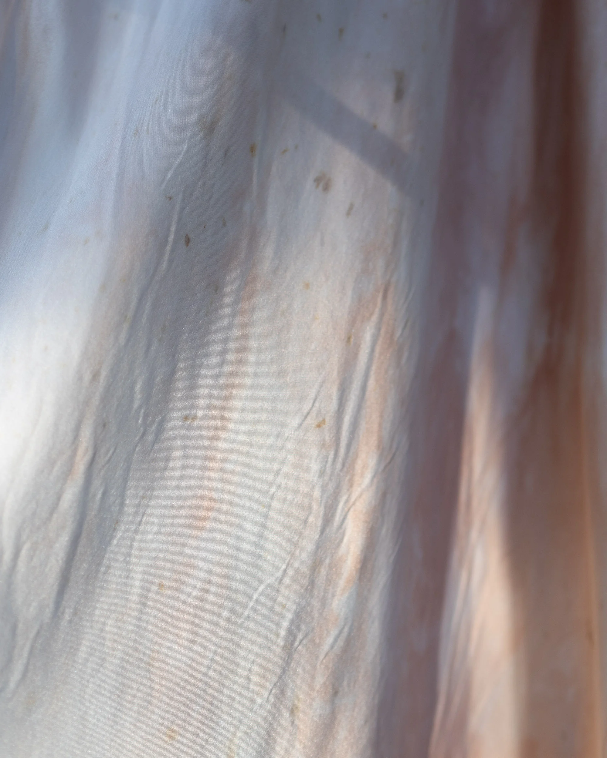 P1011840-2.jpg