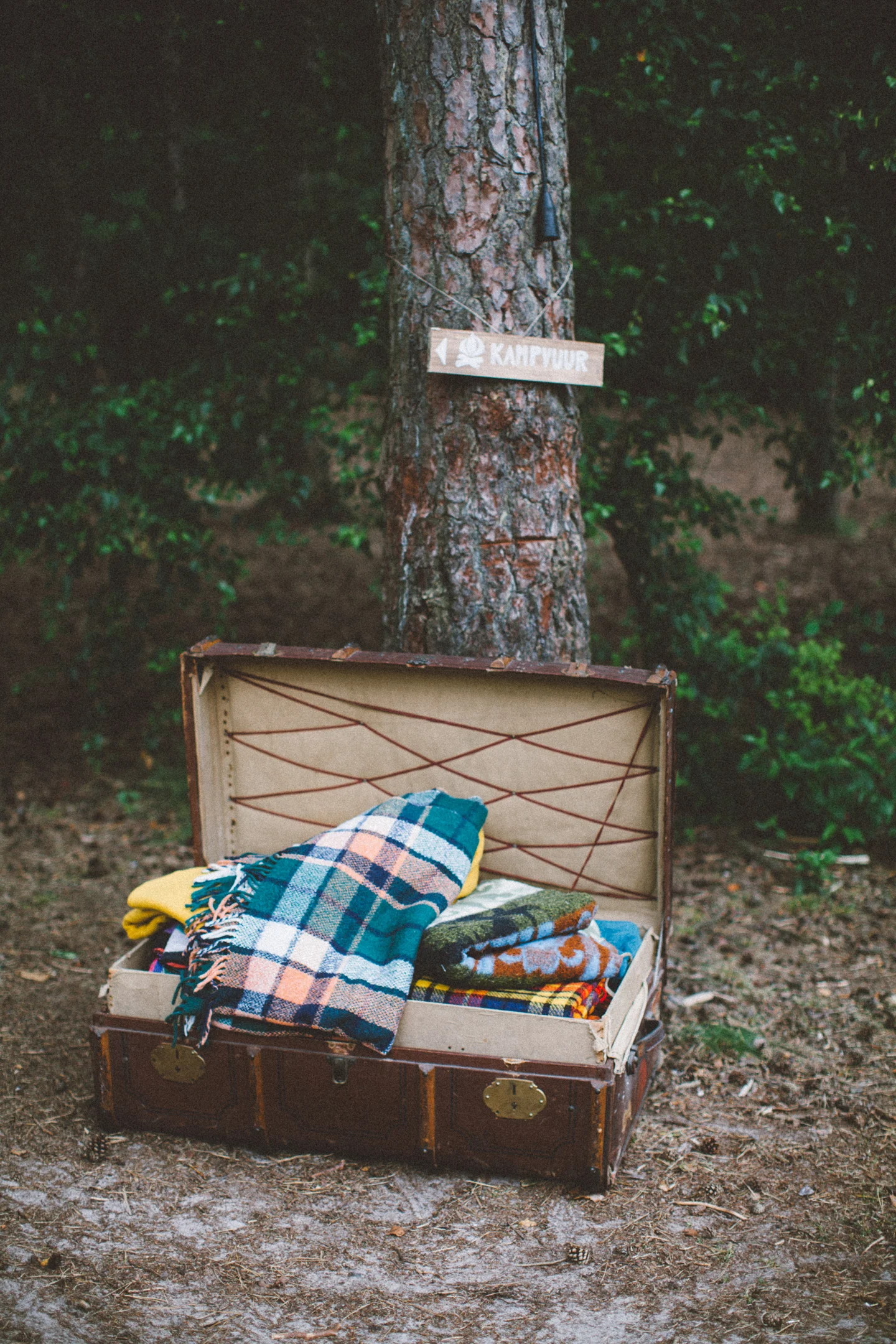 wedding in the woods / inspire styling / photo by oak&fir
