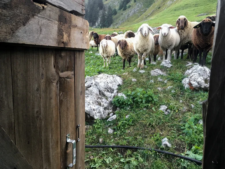 switzerland / inspire styling