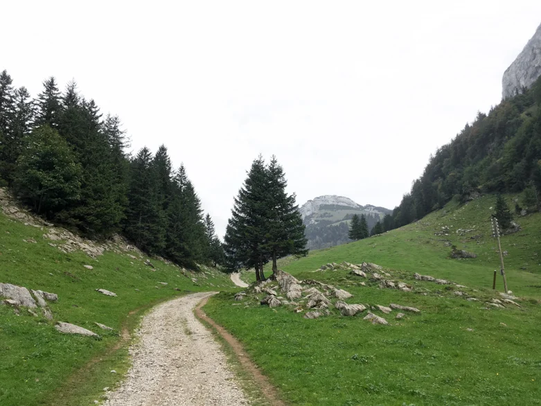 switzerland / inspire styling