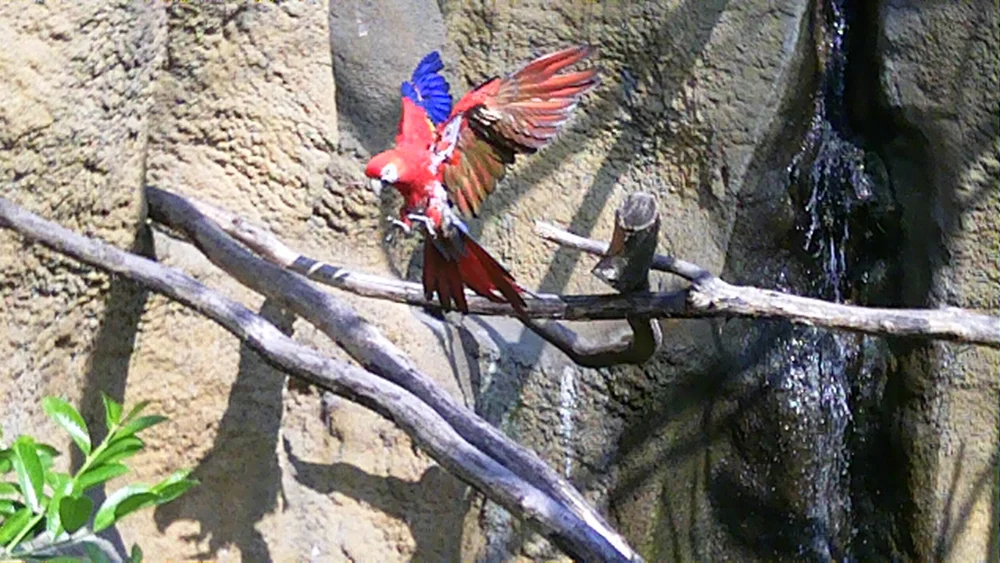 expedition-borneo-anne-van-midden_s-4.jpg