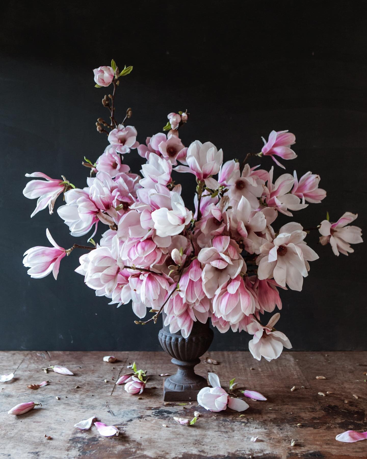 Wait.. since magnolias are edible, does this count as a salad? 🤔

If you want to learn how to create your own flower salad in a vase (lol).. sign up for my membership! This magnolia urn design class is coming soon - as well as a magnolia editorial b