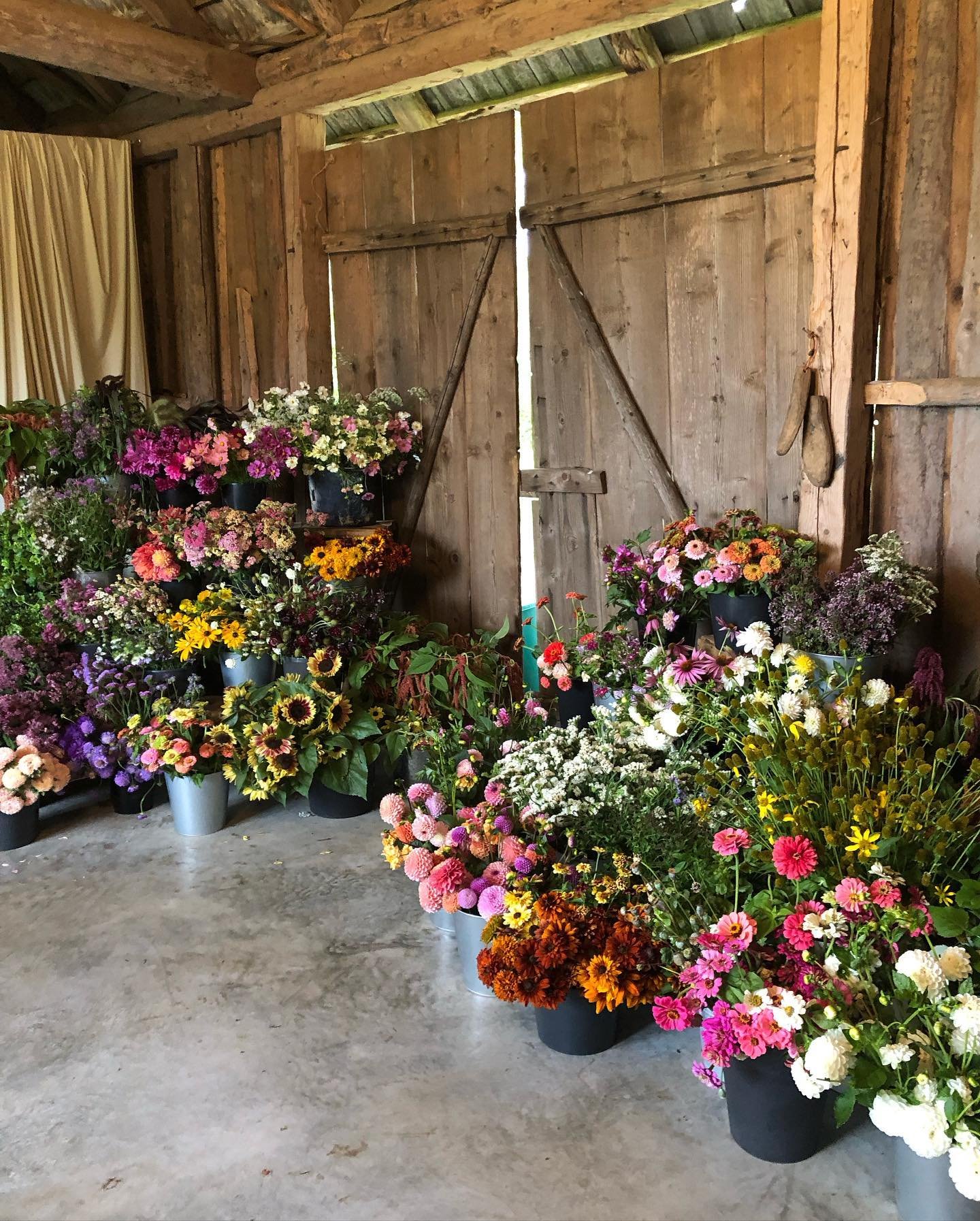 This time, no polished pictures or snazzy marketing words about why you should come to the Floral Artistry Retreat in Estonia. 

We are all about keeping things real. Pretty, but real. Besides, I have a 2:1 class on Friday so my brain is pre-occupied
