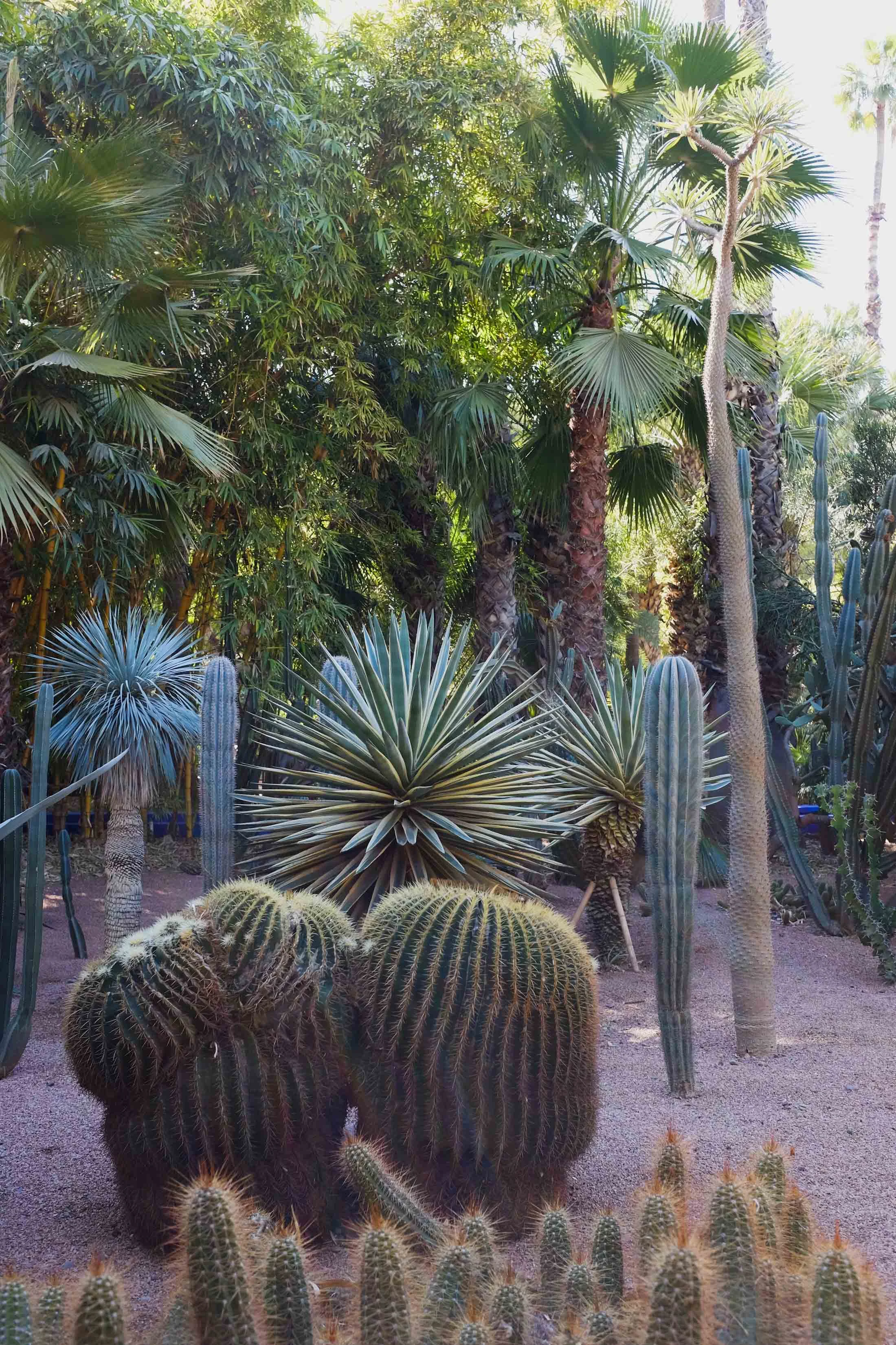 Marrakech - (c) Valeria Necchio-15.jpg