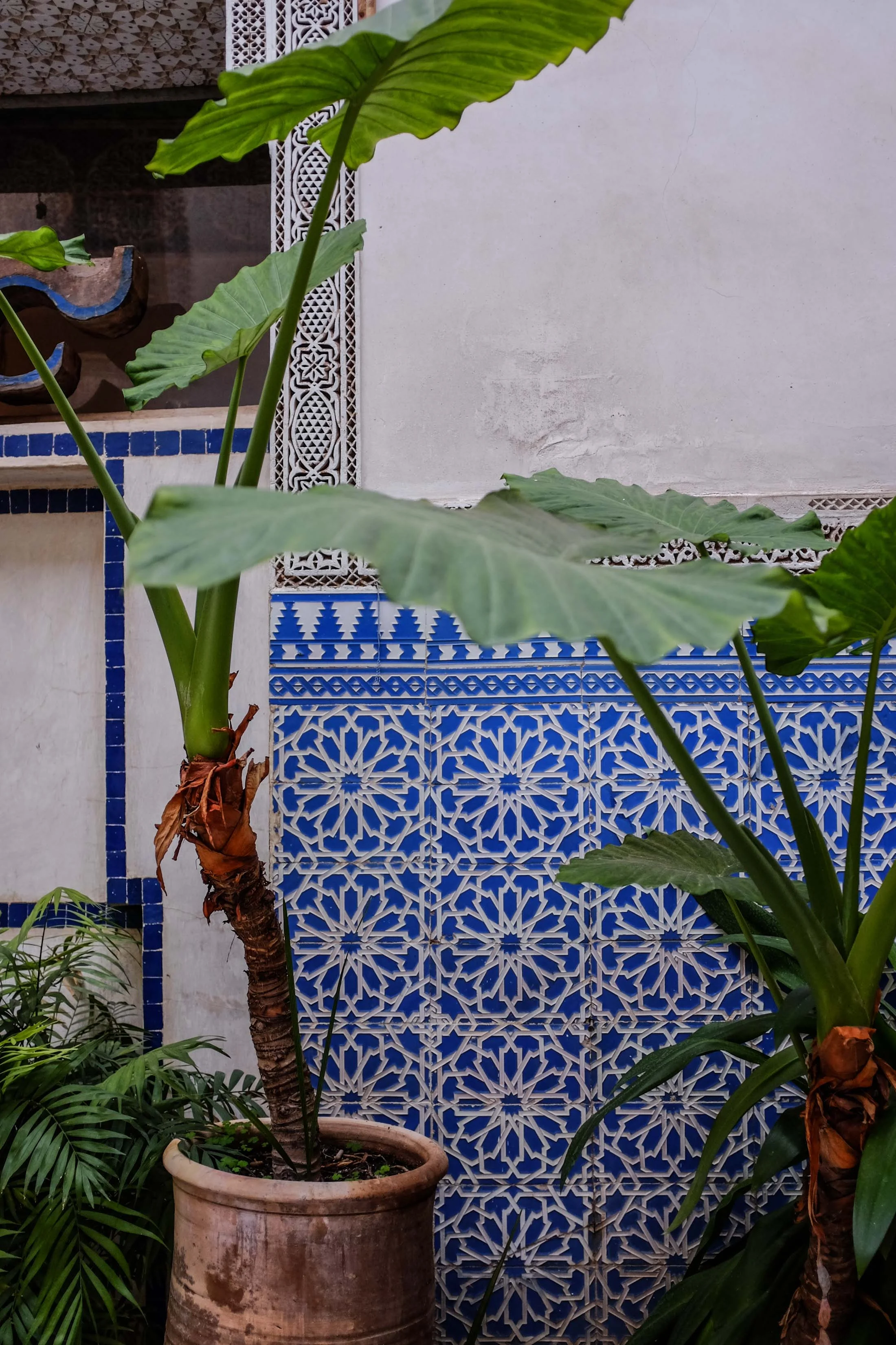 Marrakech - (c) Valeria Necchio-37.jpg