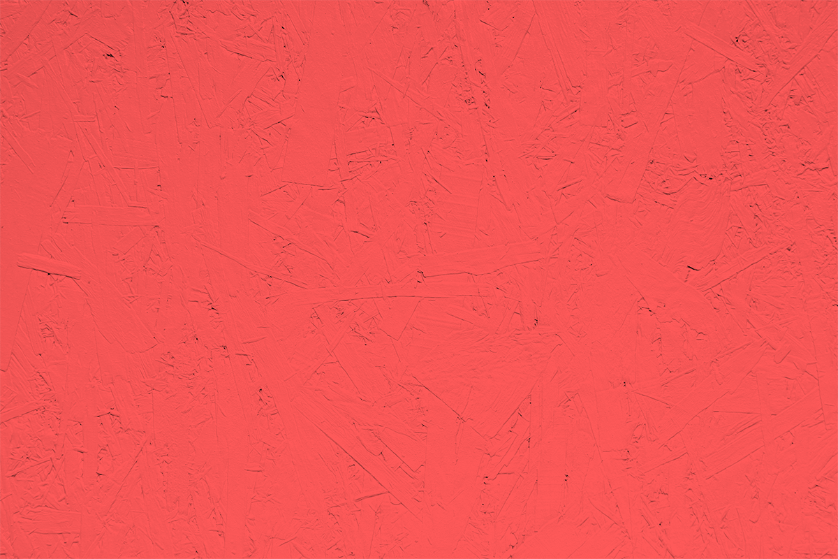 salmon.png