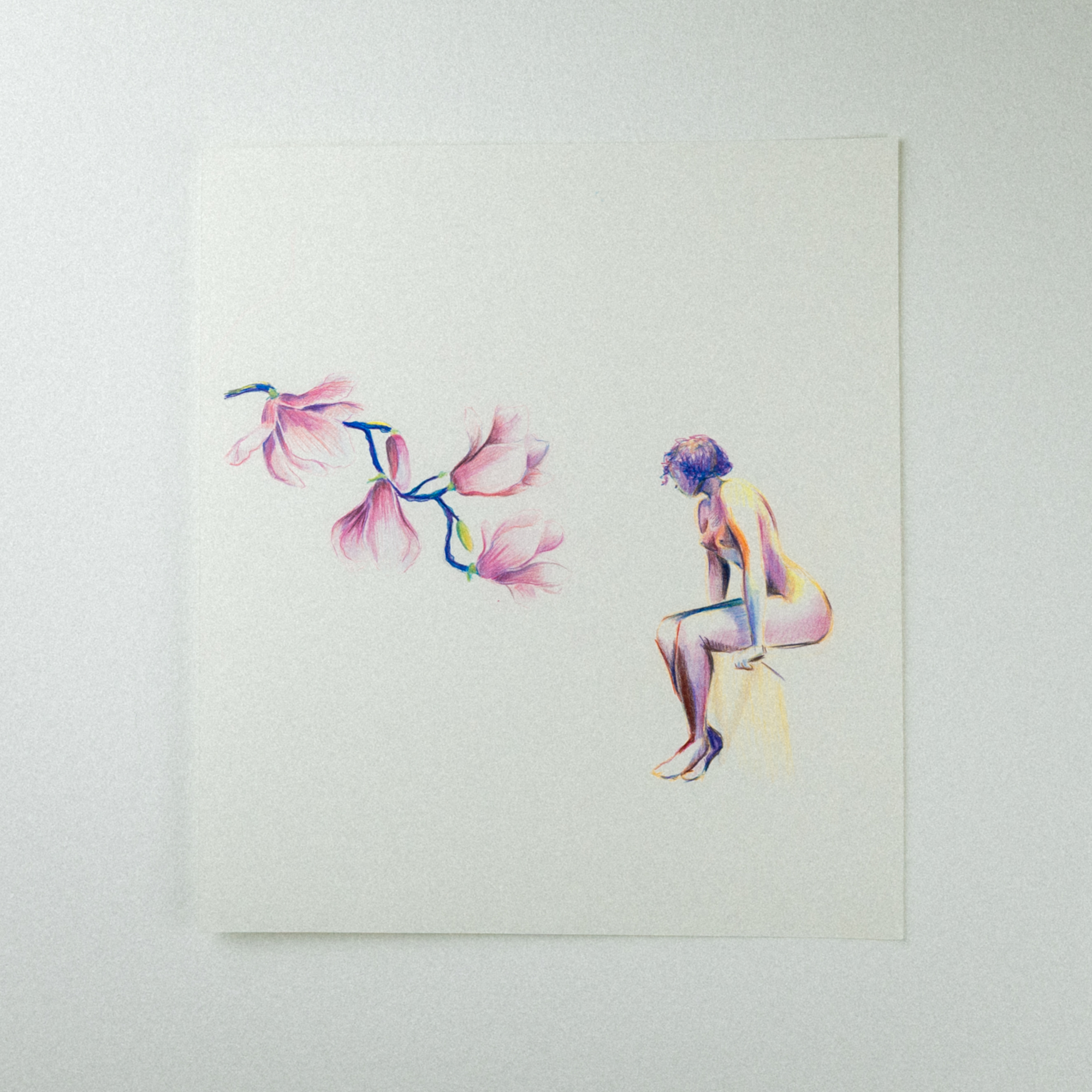 Magnolia - Original Crayon Drawing on Paper, 2020
